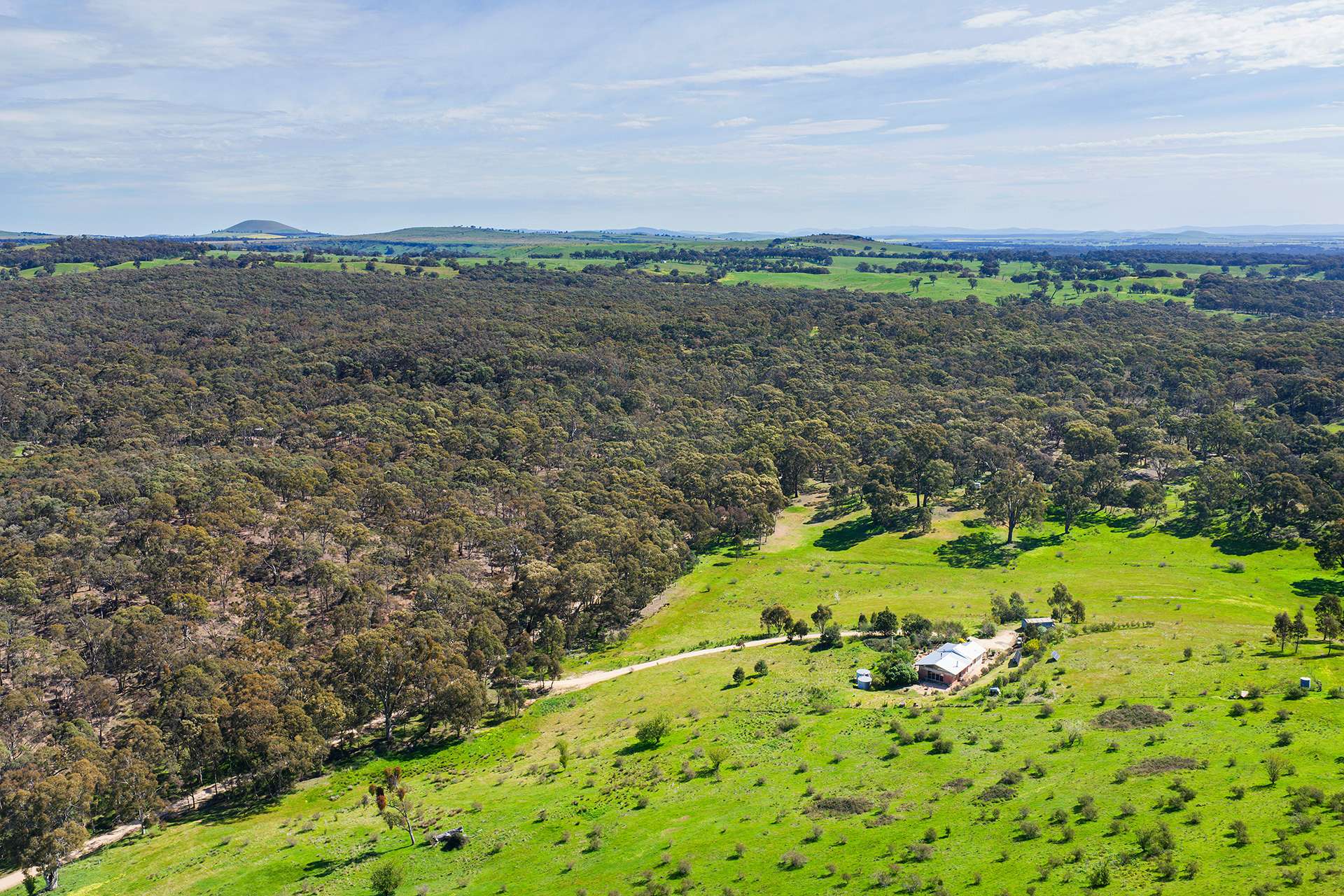 469 Boundary Gully Road, Yandoit Hills For Sale by Farmbuy.com - image 22