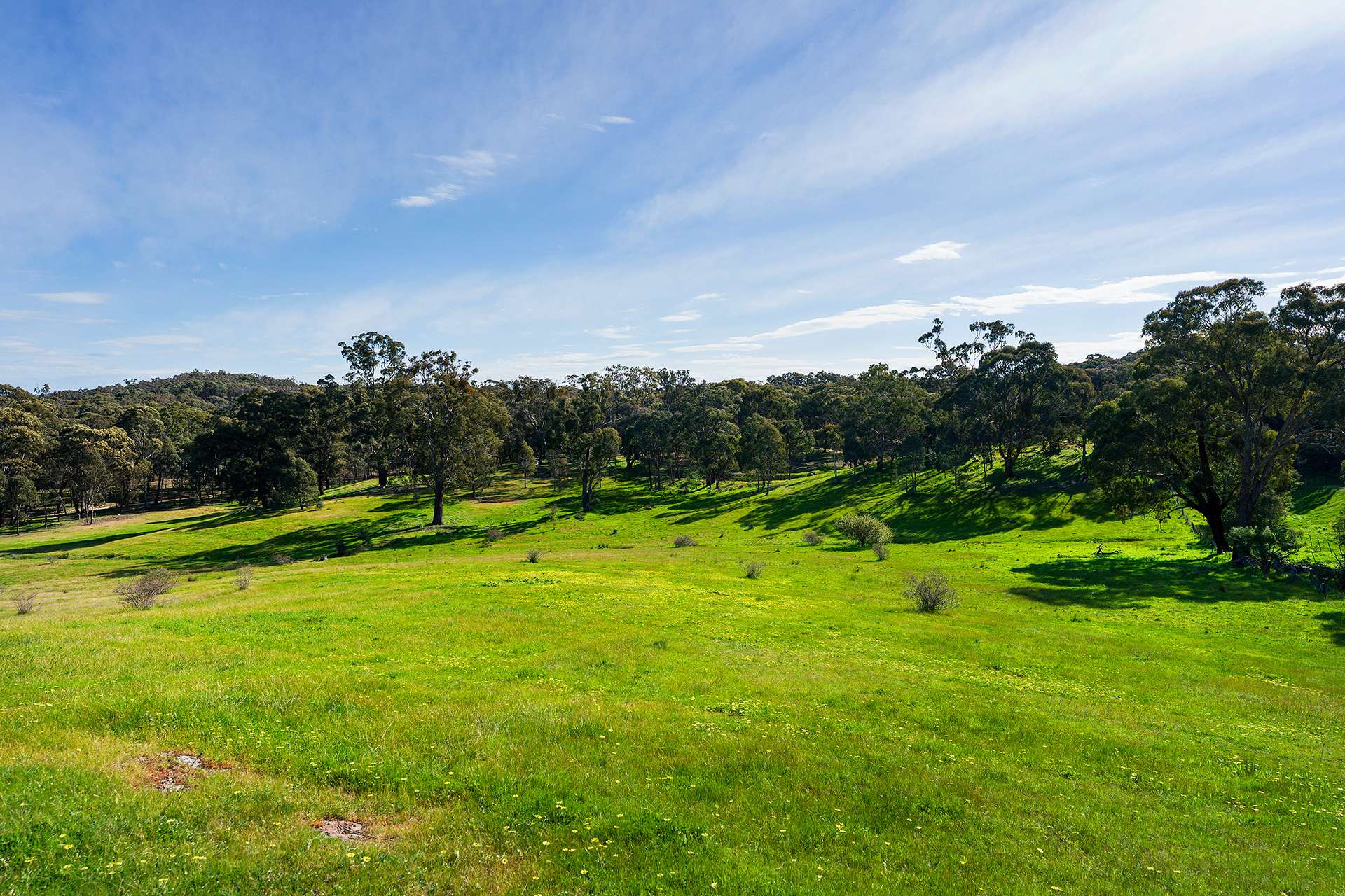 469 Boundary Gully Road, Yandoit Hills For Sale by Farmbuy.com - image 20
