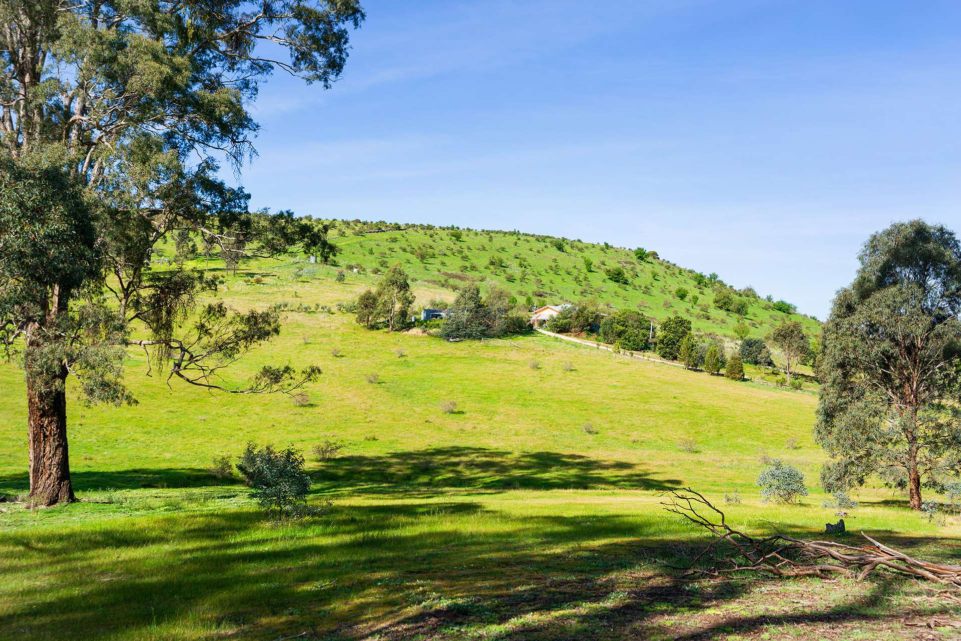 469 Boundary Gully Road, Yandoit Hills For Sale by Farmbuy.com - image 19