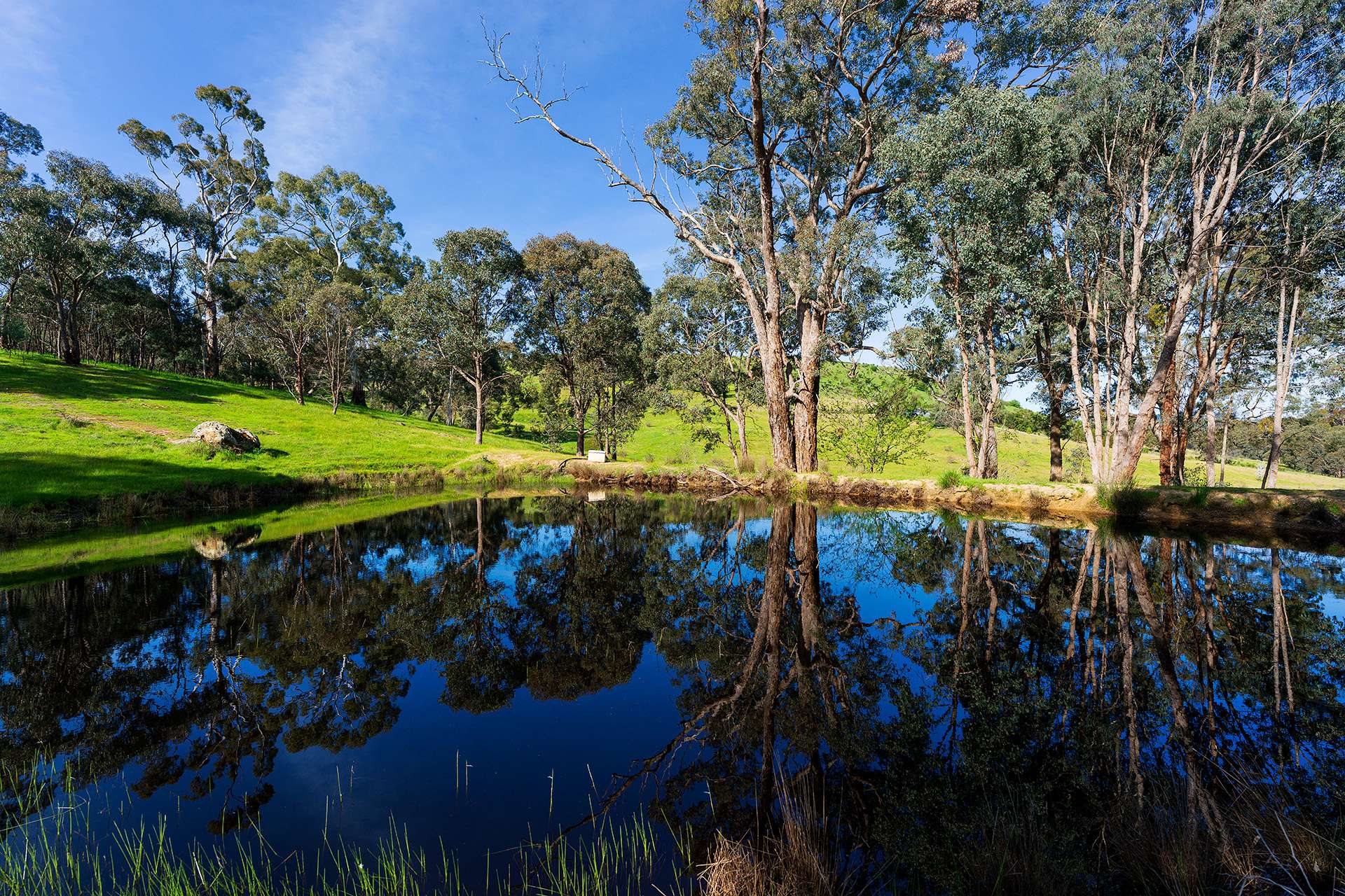 469 Boundary Gully Road, Yandoit Hills For Sale by Farmbuy.com - image 21