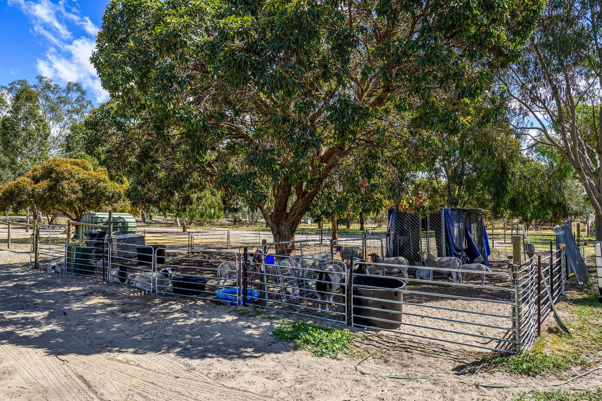 216 Powderbark Road, Lower Chittering For Sale by Farmbuy.com - image 29