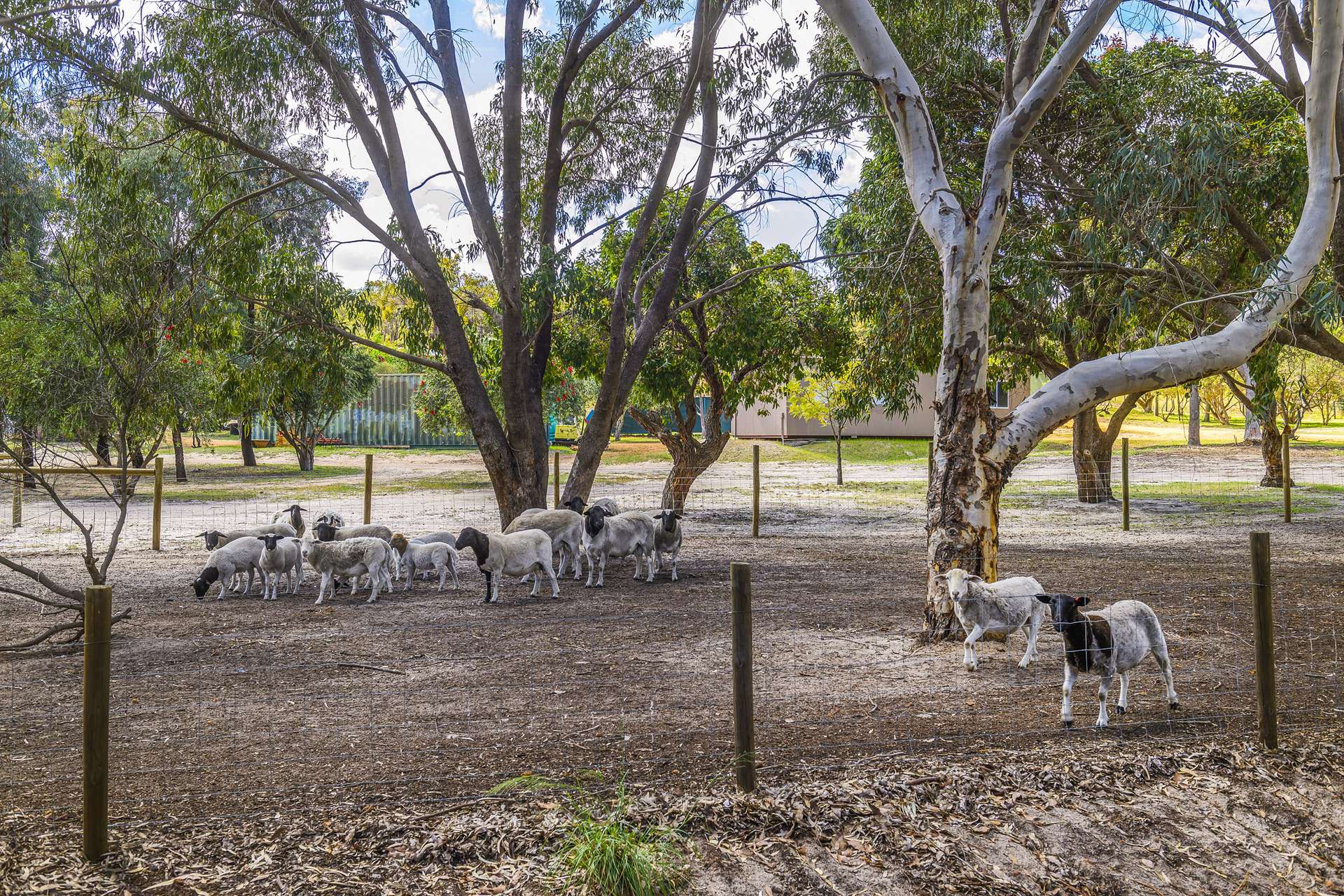 216 Powderbark Road, Lower Chittering For Sale by Farmbuy.com - image 32