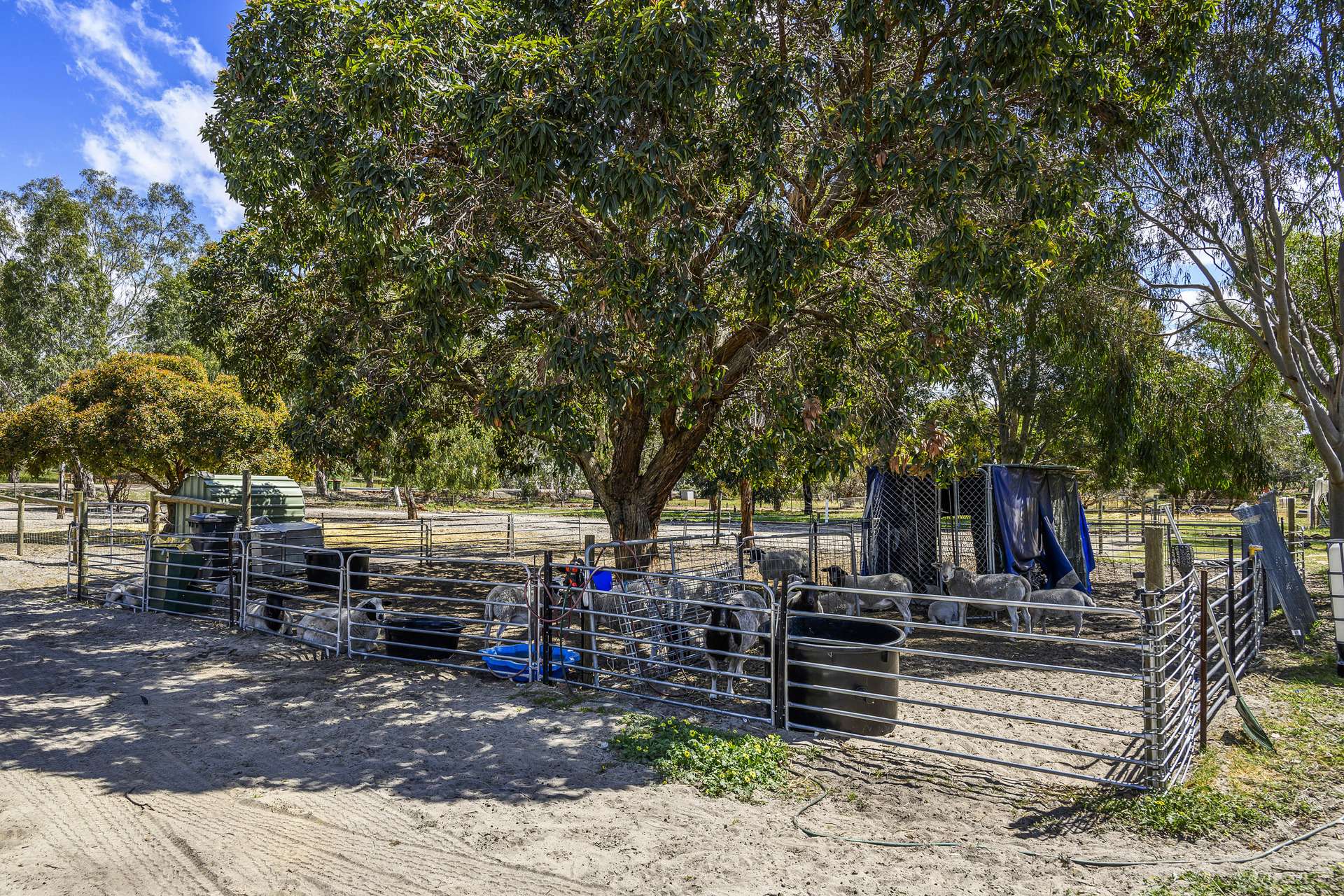 216 Powderbark Road, Lower Chittering For Sale by Farmbuy.com - image 29