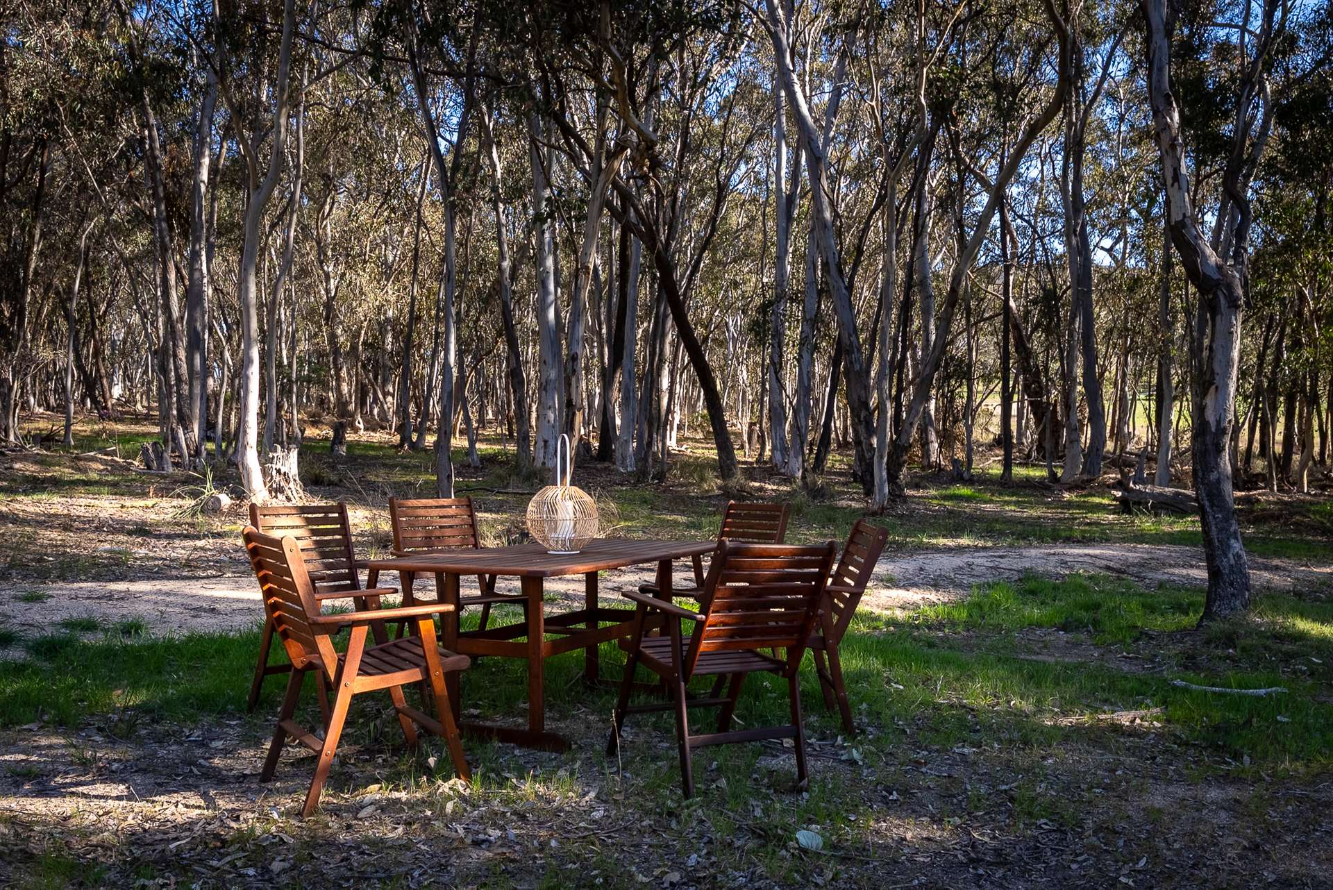 1821 Mitchell Highway, The Rocks Auction by Farmbuy.com - image 29