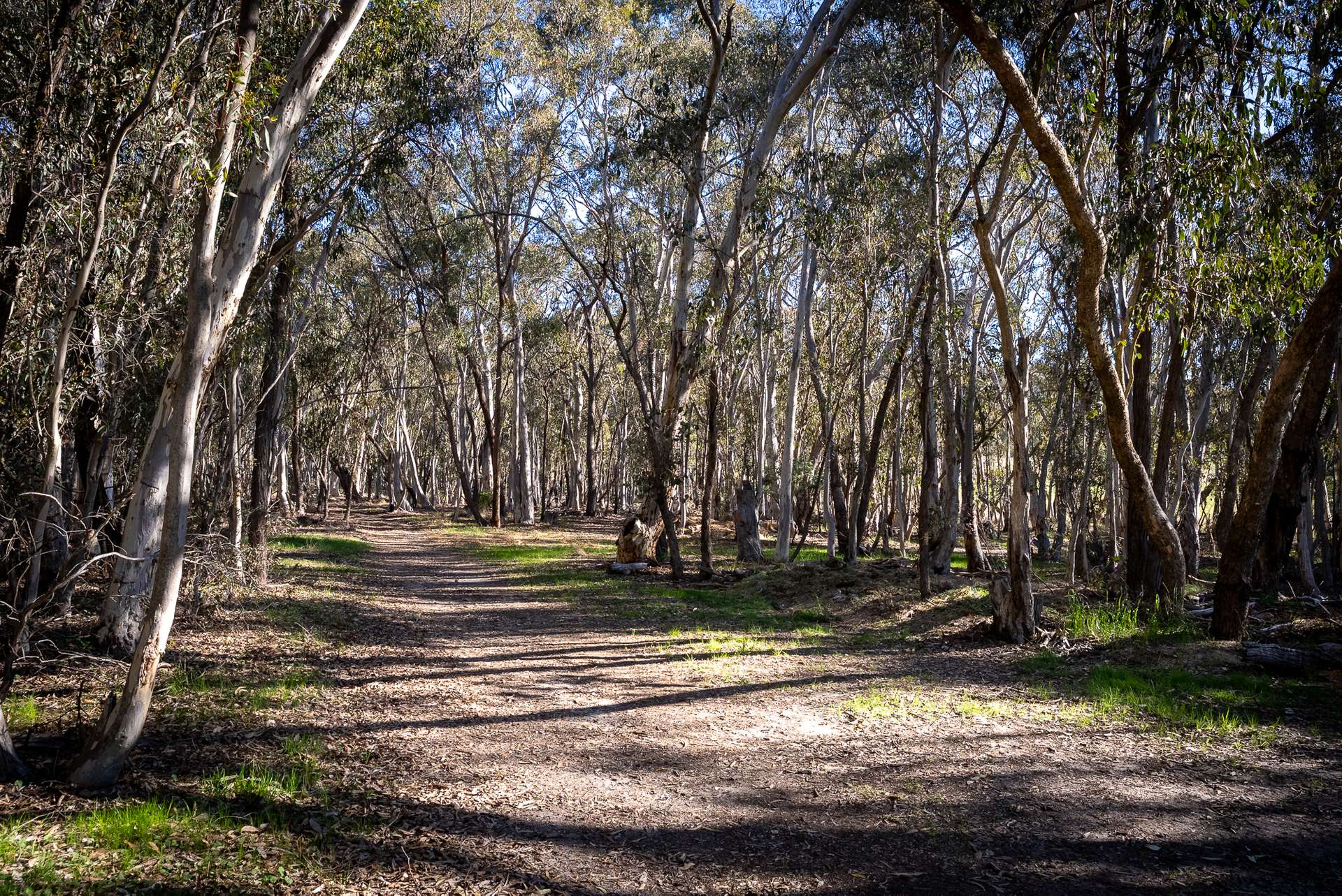1821 Mitchell Highway, The Rocks Auction by Farmbuy.com - image 30