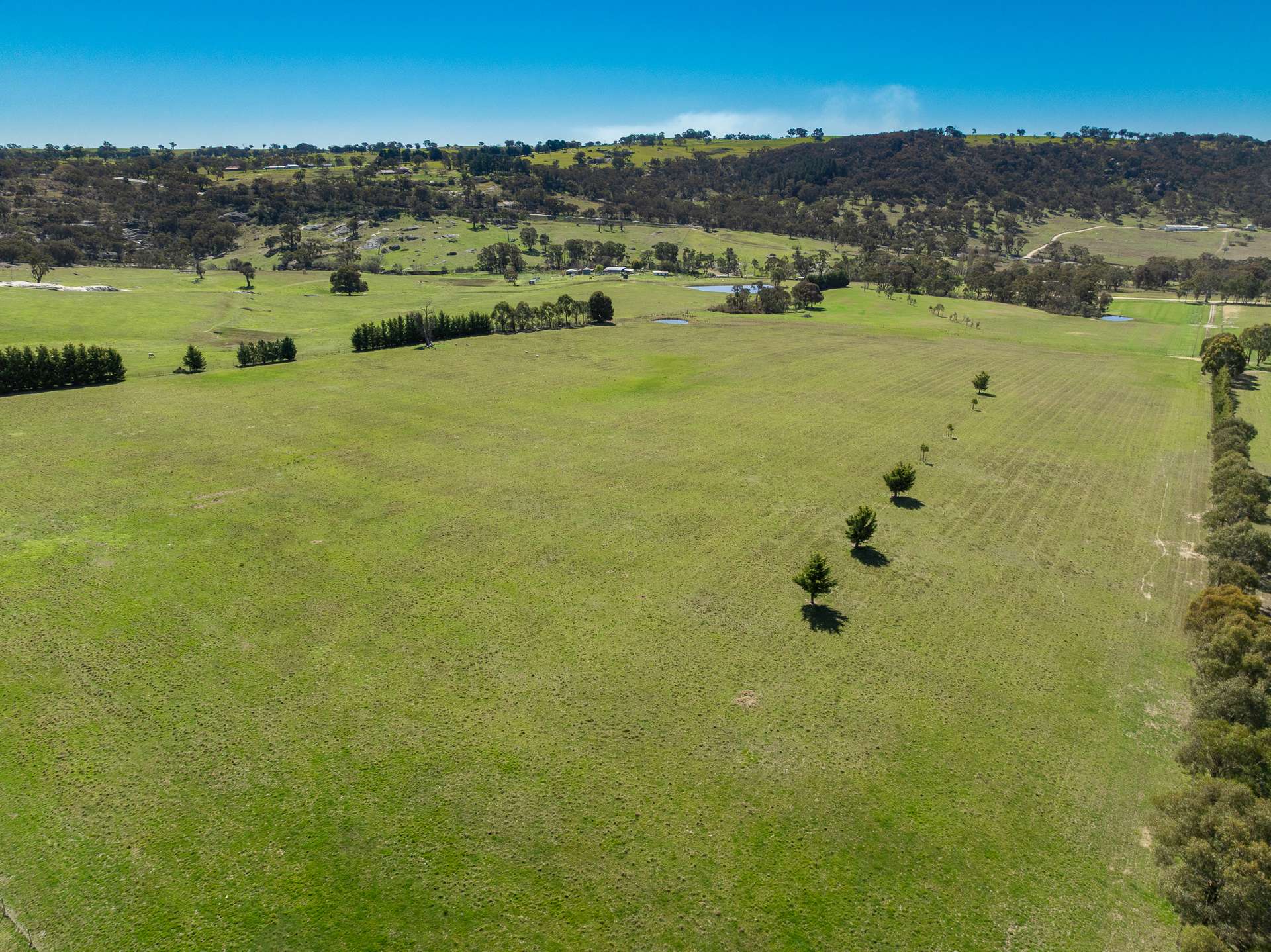 1821 Mitchell Highway, The Rocks Auction by Farmbuy.com - image 7