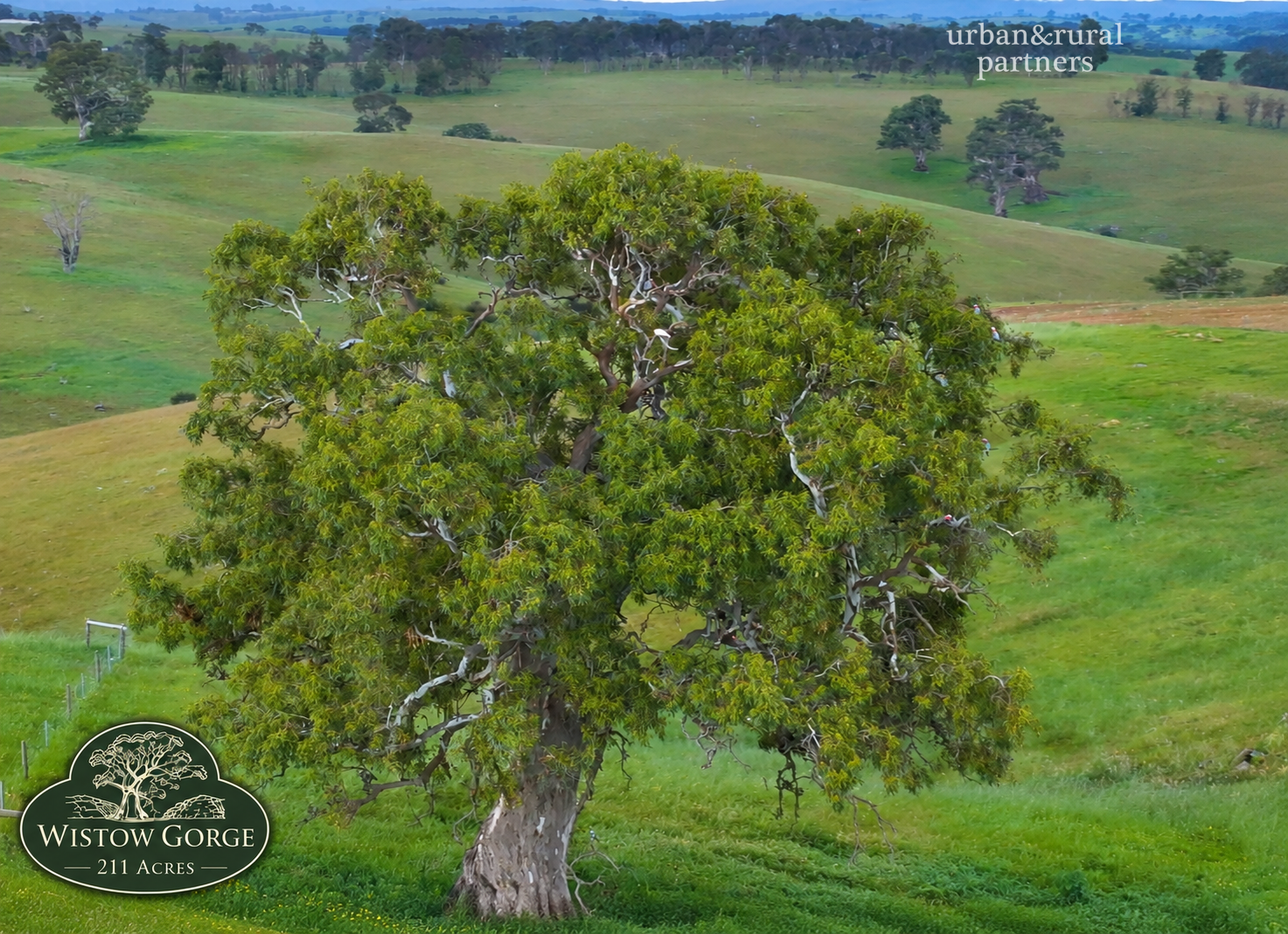 Lot 6 Wiles Firetrack, Wistow For Sale by Farmbuy.com - image 16