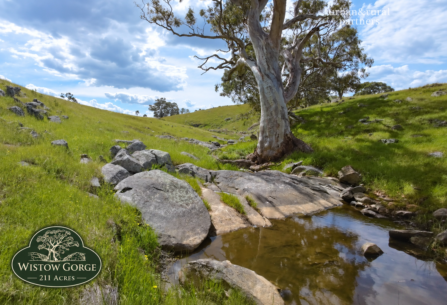 Lot 6 Wiles Firetrack, Wistow For Sale by Farmbuy.com - image 4