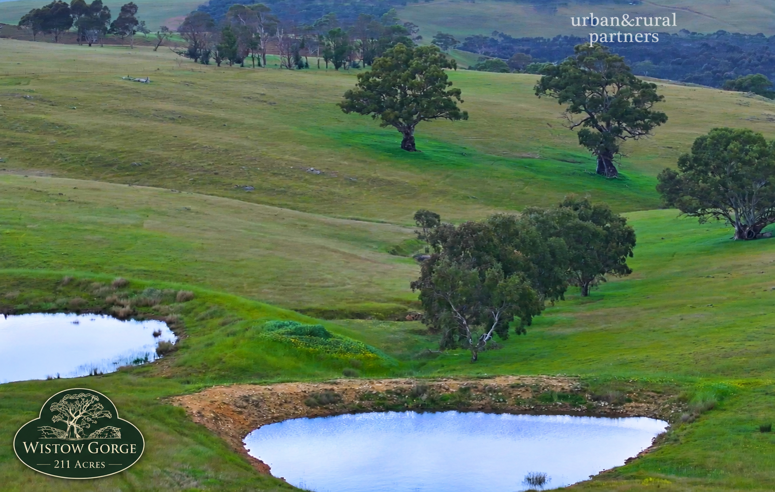 Lot 6 Wiles Firetrack, Wistow For Sale by Farmbuy.com - image 5