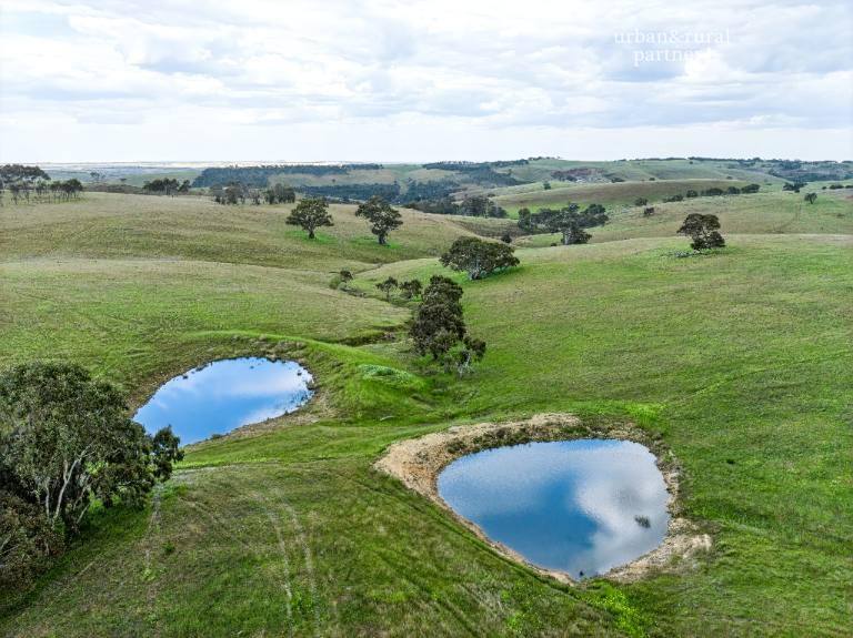 Lot 6 Wiles Firetrack, Wistow For Sale by Farmbuy.com - image 9