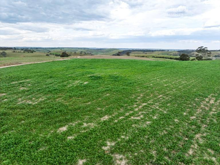Lot 6 Wiles Firetrack, Wistow For Sale by Farmbuy.com - image 13