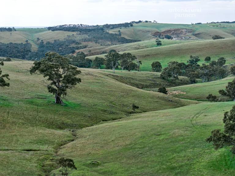 Lot 6 Wiles Firetrack, Wistow For Sale by Farmbuy.com - image 17