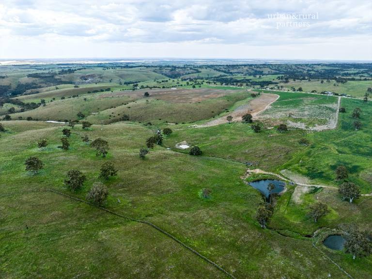 Lot 6 Wiles Firetrack, Wistow For Sale by Farmbuy.com - image 14