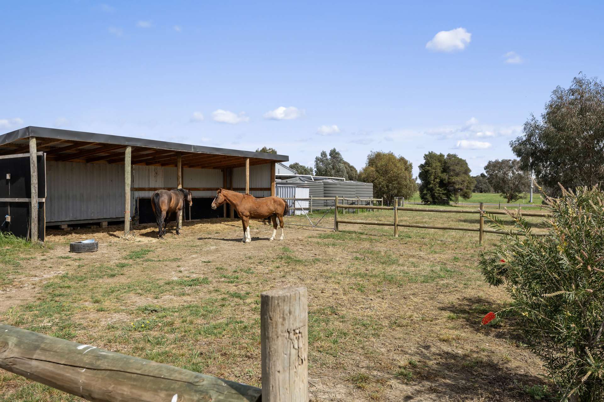 17 McDiarmids Road, Violet Town For Sale by Farmbuy.com - image 19