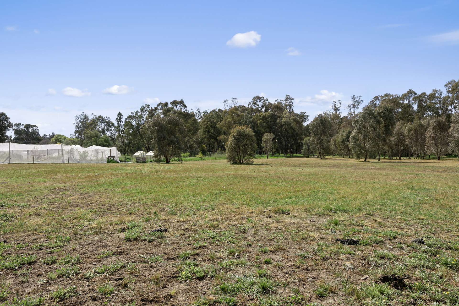 17 McDiarmids Road, Violet Town For Sale by Farmbuy.com - image 21