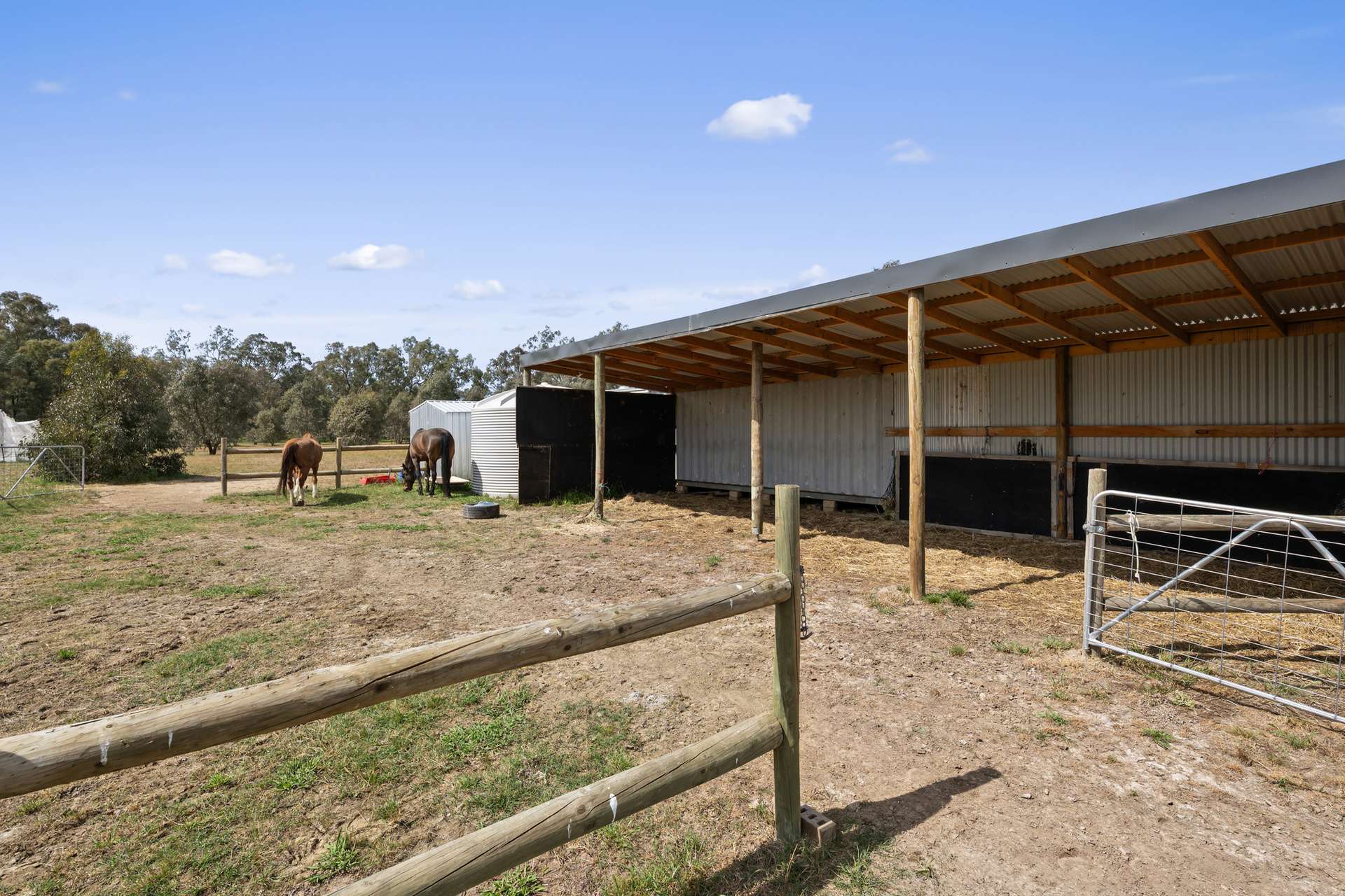 17 McDiarmids Road, Violet Town For Sale by Farmbuy.com - image 20