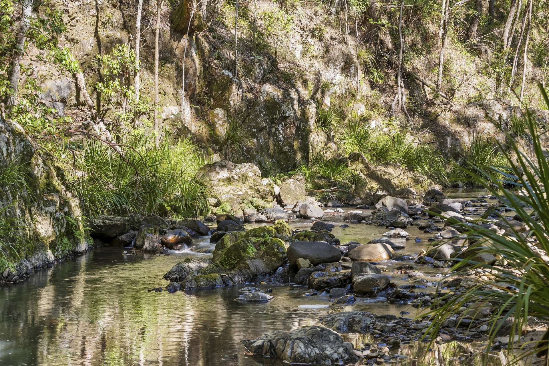 684 Urliup Road, Urliup Auction by Farmbuy.com - image 14