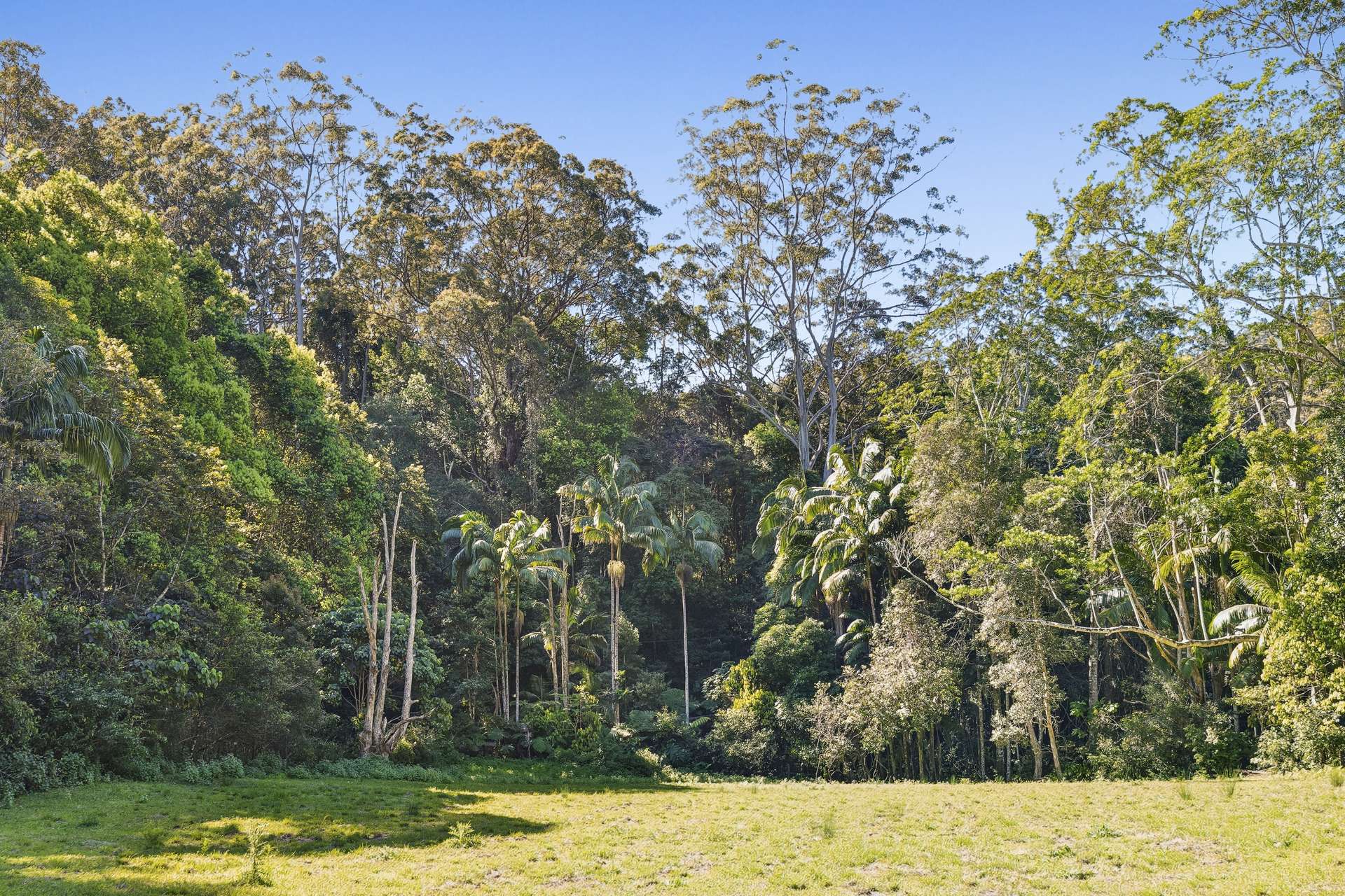 684 Urliup Road, Urliup Auction by Farmbuy.com - image 16