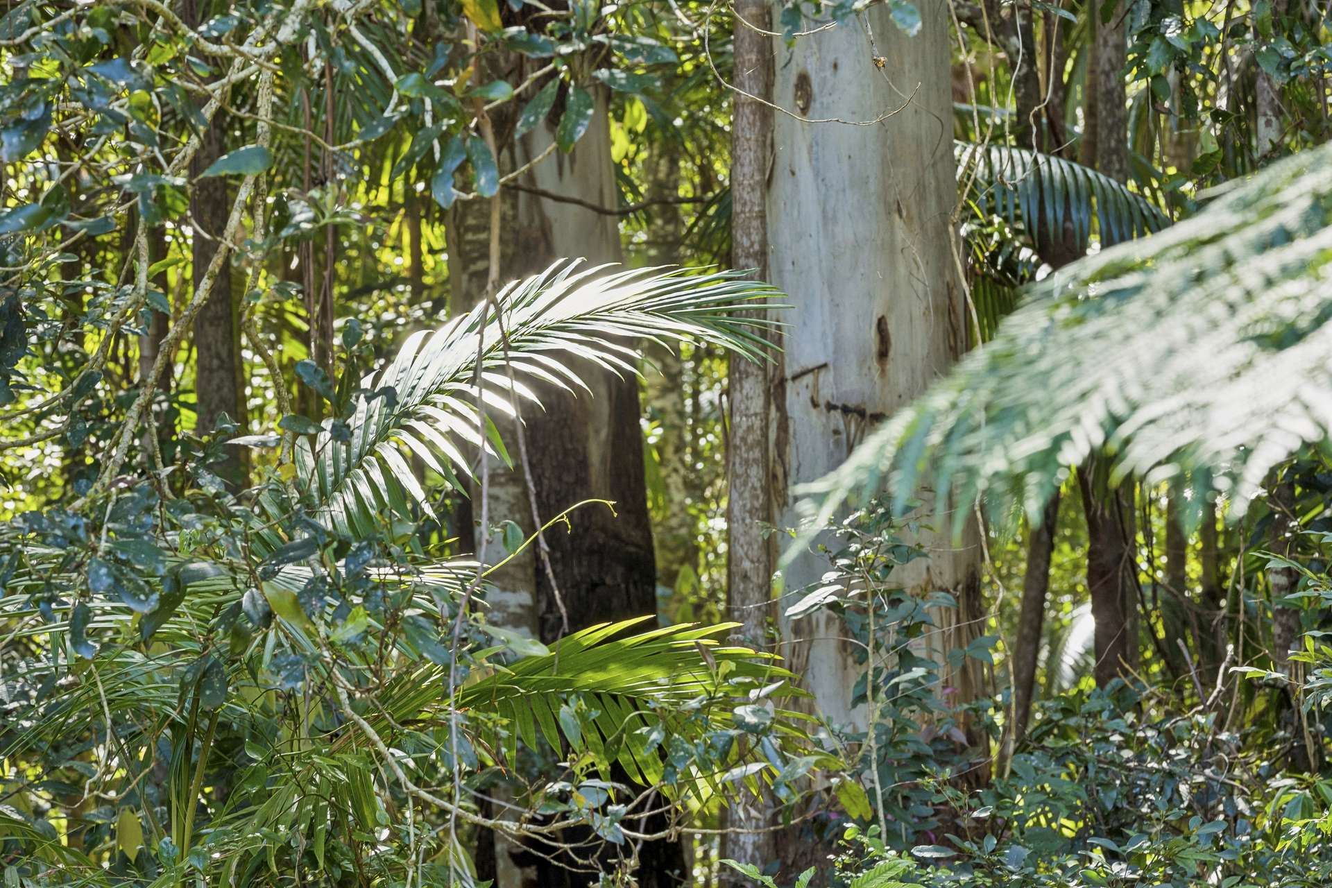 684 Urliup Road, Urliup Auction by Farmbuy.com - image 19