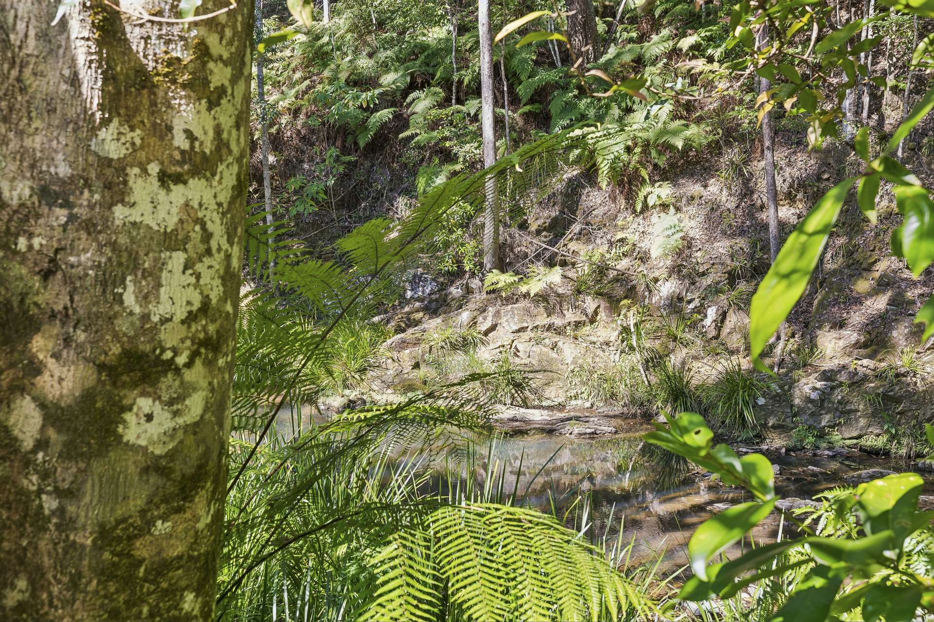 684 Urliup Road, Urliup Auction by Farmbuy.com - image 21