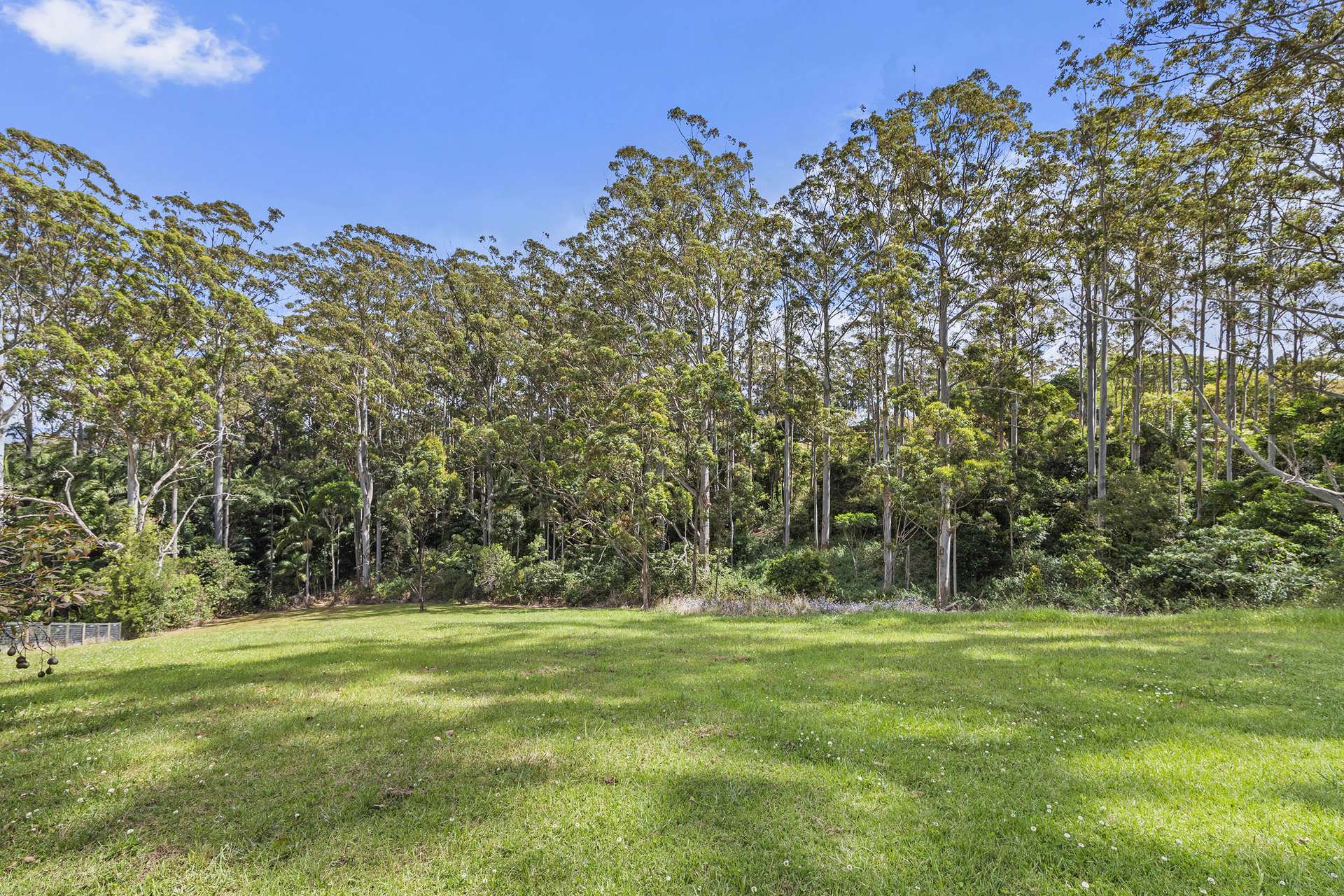 118 Beacon Road, Tamborine Mountain For Sale by Farmbuy.com - image 21