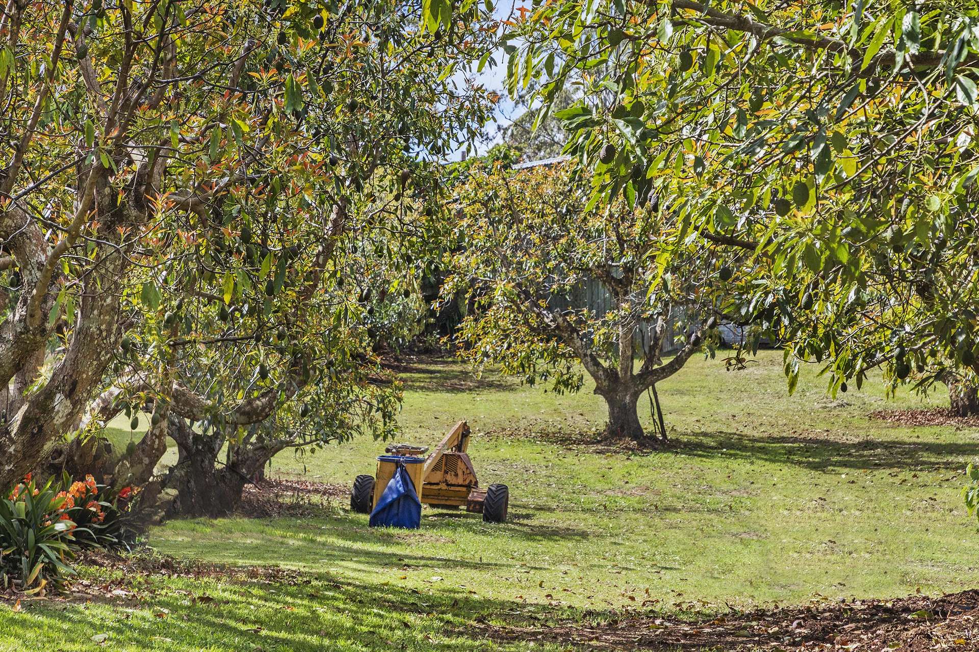 118 Beacon Road, Tamborine Mountain For Sale by Farmbuy.com - image 24