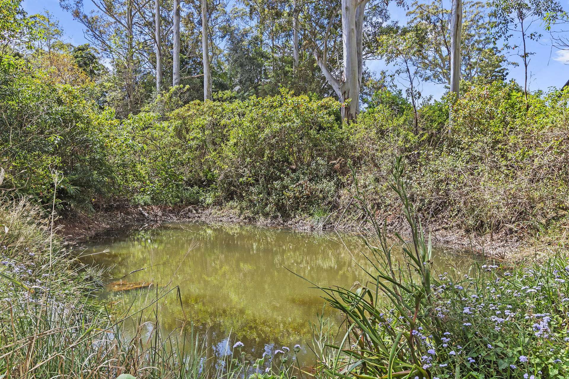 118 Beacon Road, Tamborine Mountain For Sale by Farmbuy.com - image 26