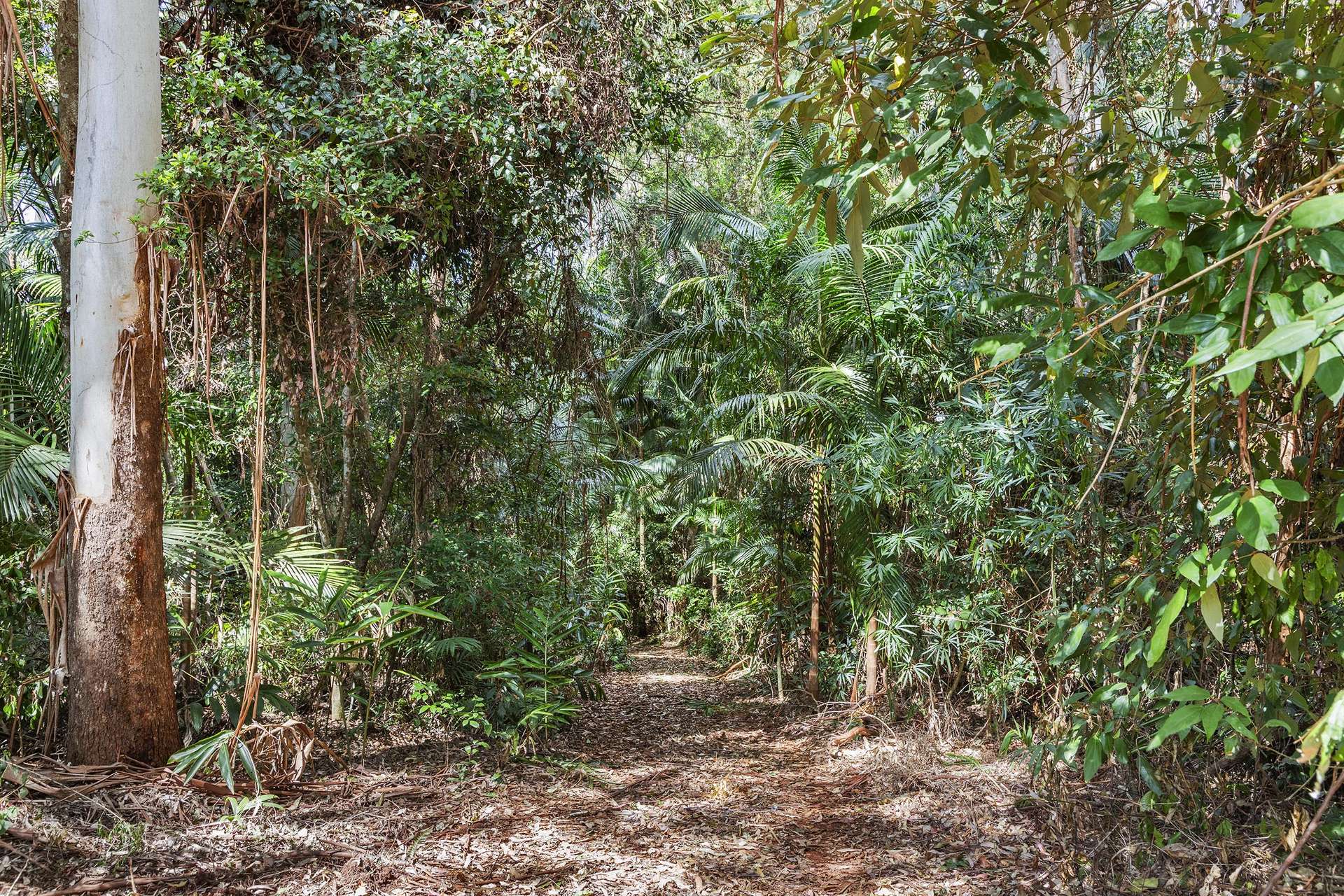 118 Beacon Road, Tamborine Mountain For Sale by Farmbuy.com - image 19