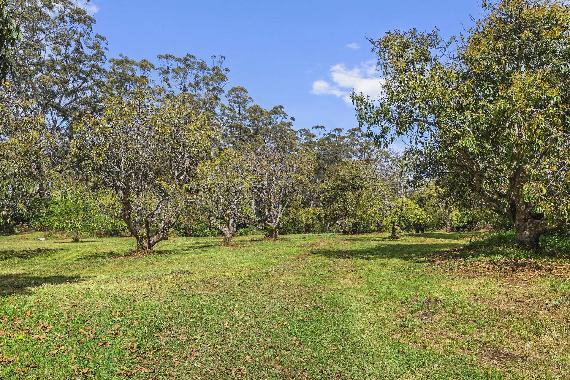 118 Beacon Road, Tamborine Mountain For Sale by Farmbuy.com - image 22