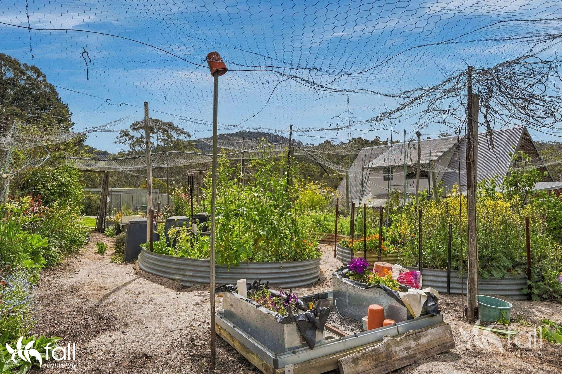 46 Lawless Road, Margate For Sale by Farmbuy.com - image 24