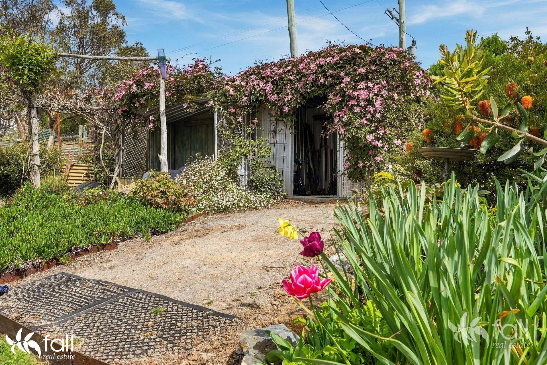 46 Lawless Road, Margate For Sale by Farmbuy.com - image 23