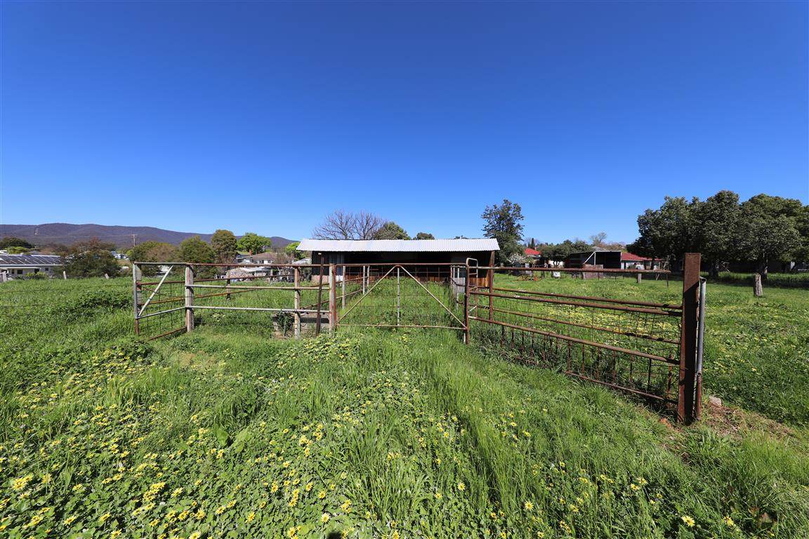 114 Russell Street, Tumut For Sale by Farmbuy.com - image 4