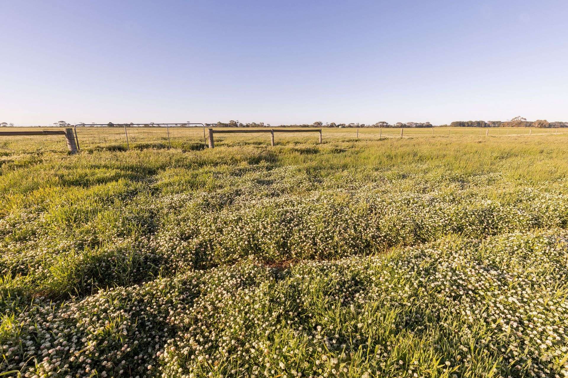 25858 Princes Highway, Clay Wells For Sale by Farmbuy.com - image 21
