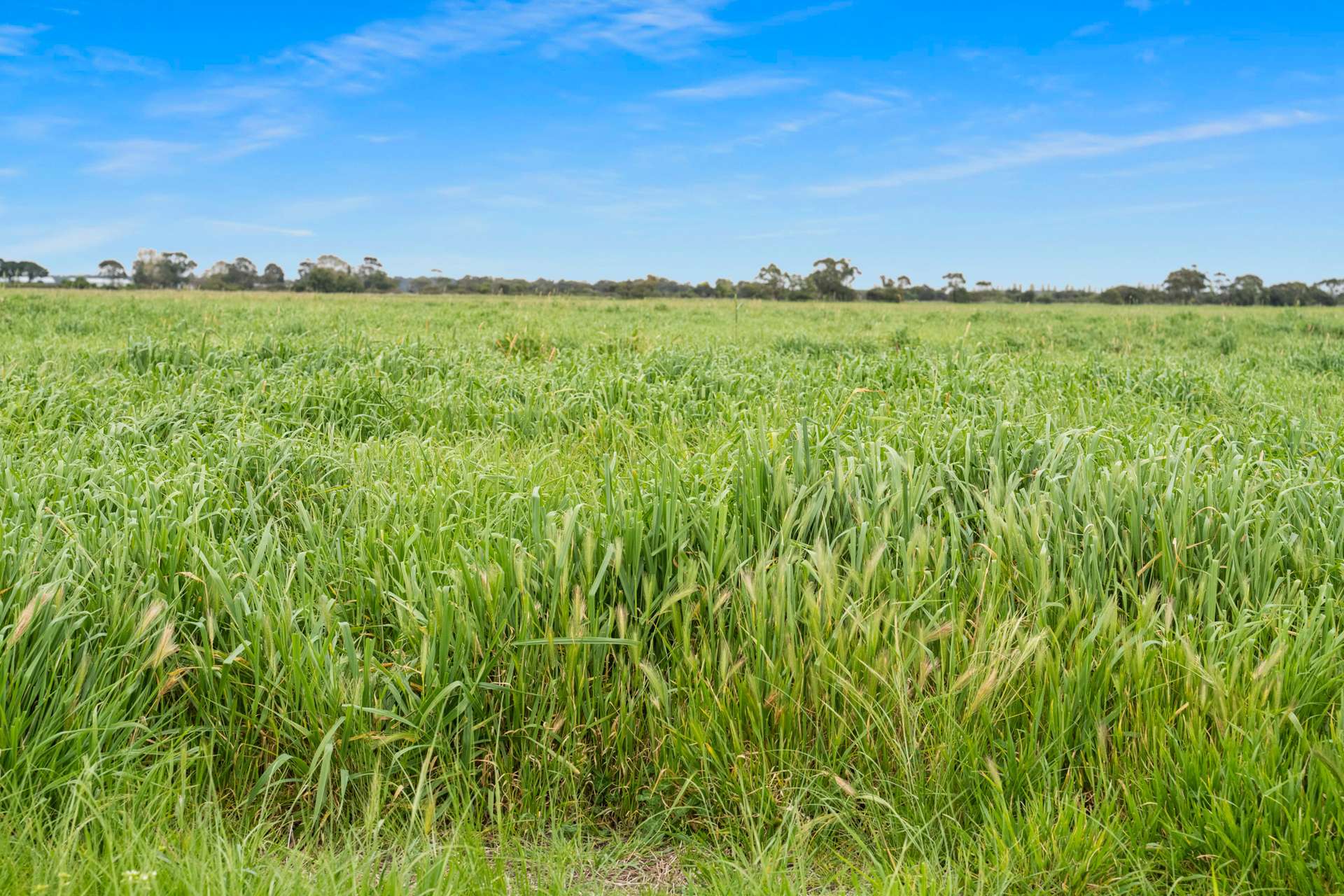 25858 Princes Highway, Clay Wells For Sale by Farmbuy.com - image 6