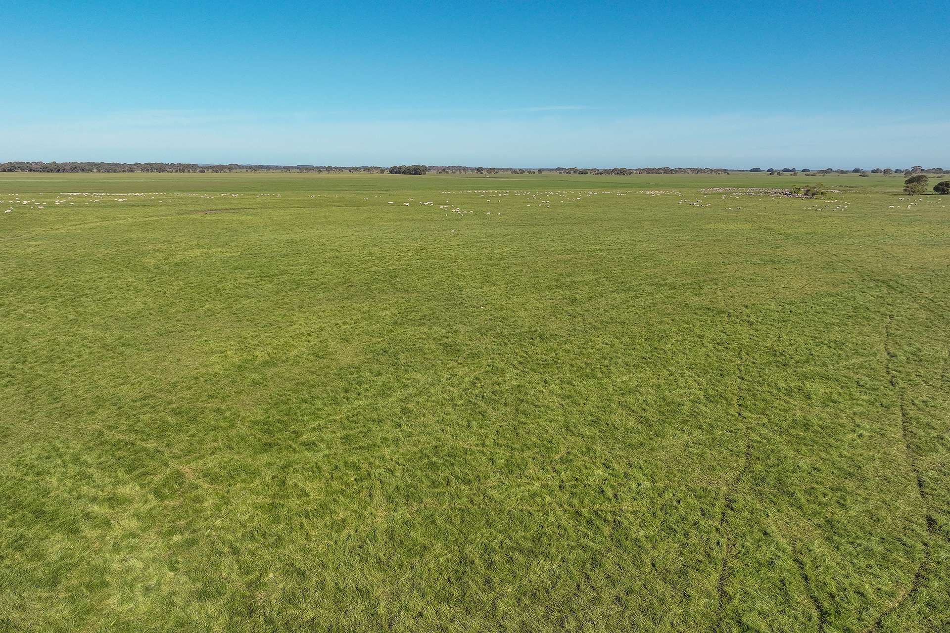 25858 Princes Highway, Clay Wells For Sale by Farmbuy.com - image 19