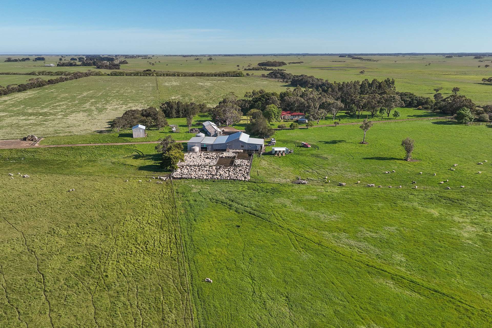 25858 Princes Highway, Clay Wells For Sale by Farmbuy.com - image 3