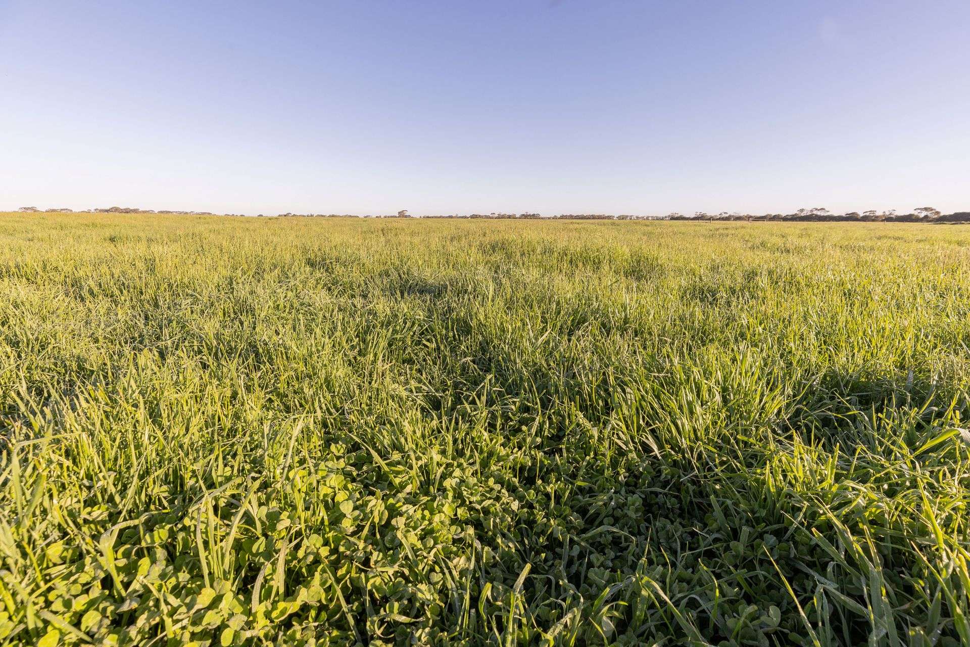 25858 Princes Highway, Clay Wells For Sale by Farmbuy.com - image 10