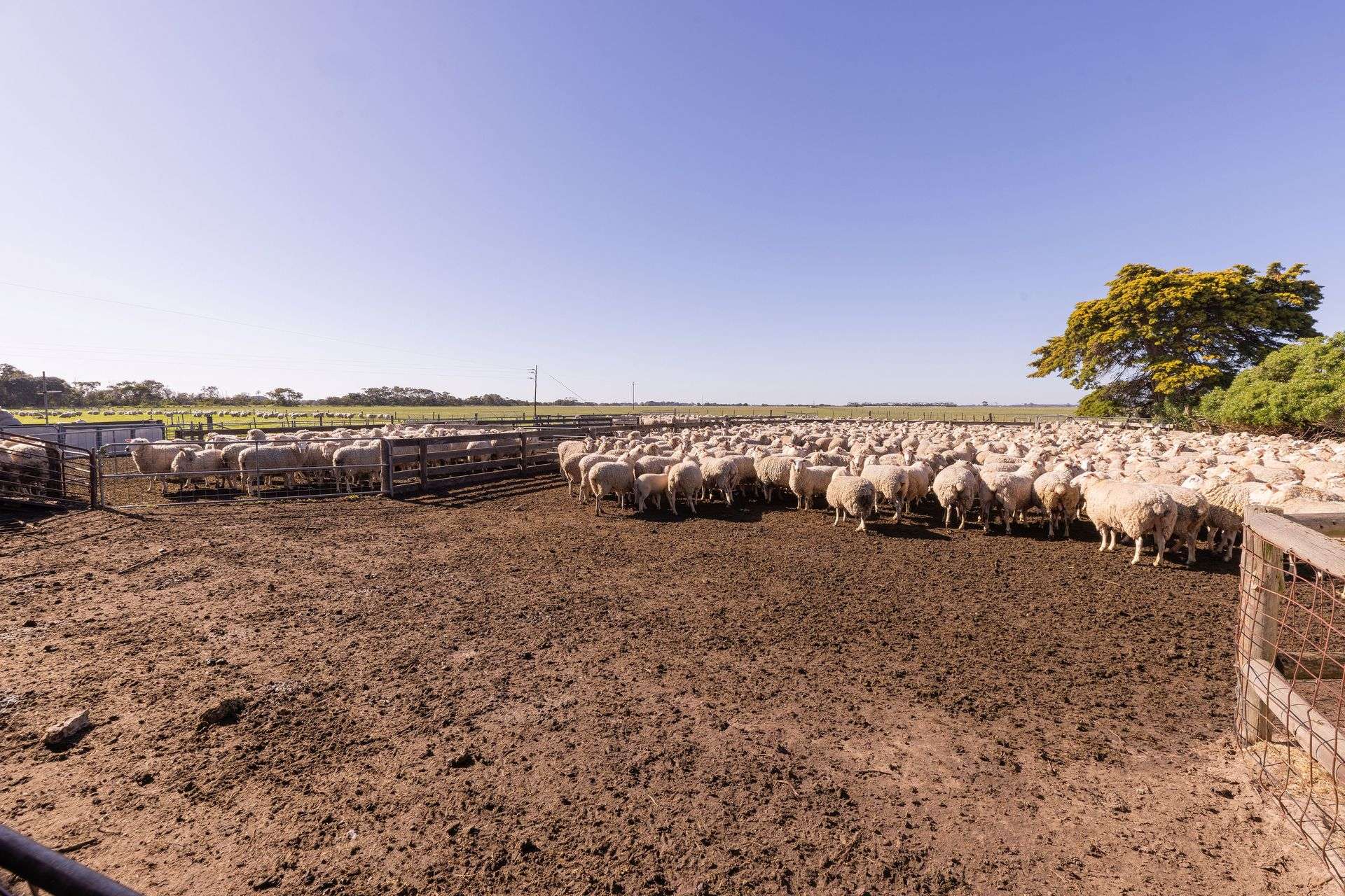 25858 Princes Highway, Clay Wells For Sale by Farmbuy.com - image 27