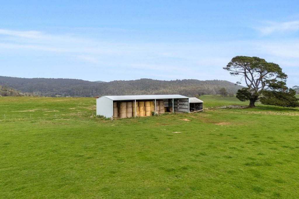 31817 Tasman Highway, Derby For Sale by Farmbuy.com - image 15