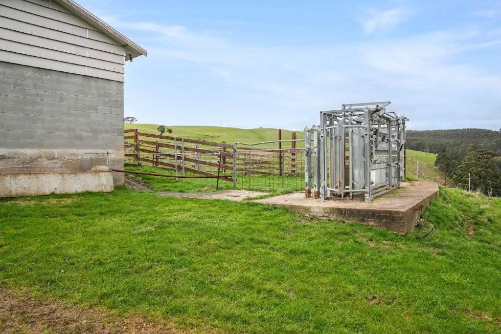 31817 Tasman Highway, Derby For Sale by Farmbuy.com - image 14