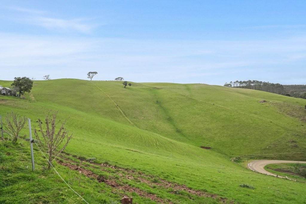 31817 Tasman Highway, Derby For Sale by Farmbuy.com - image 17