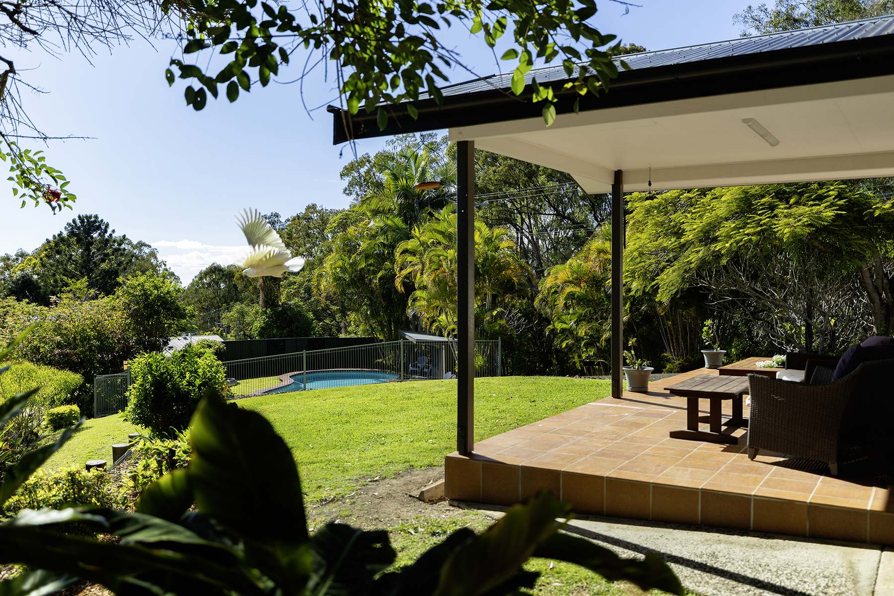 239 Towen Mount Road, Towen Mountain For Sale by Farmbuy.com - image 3