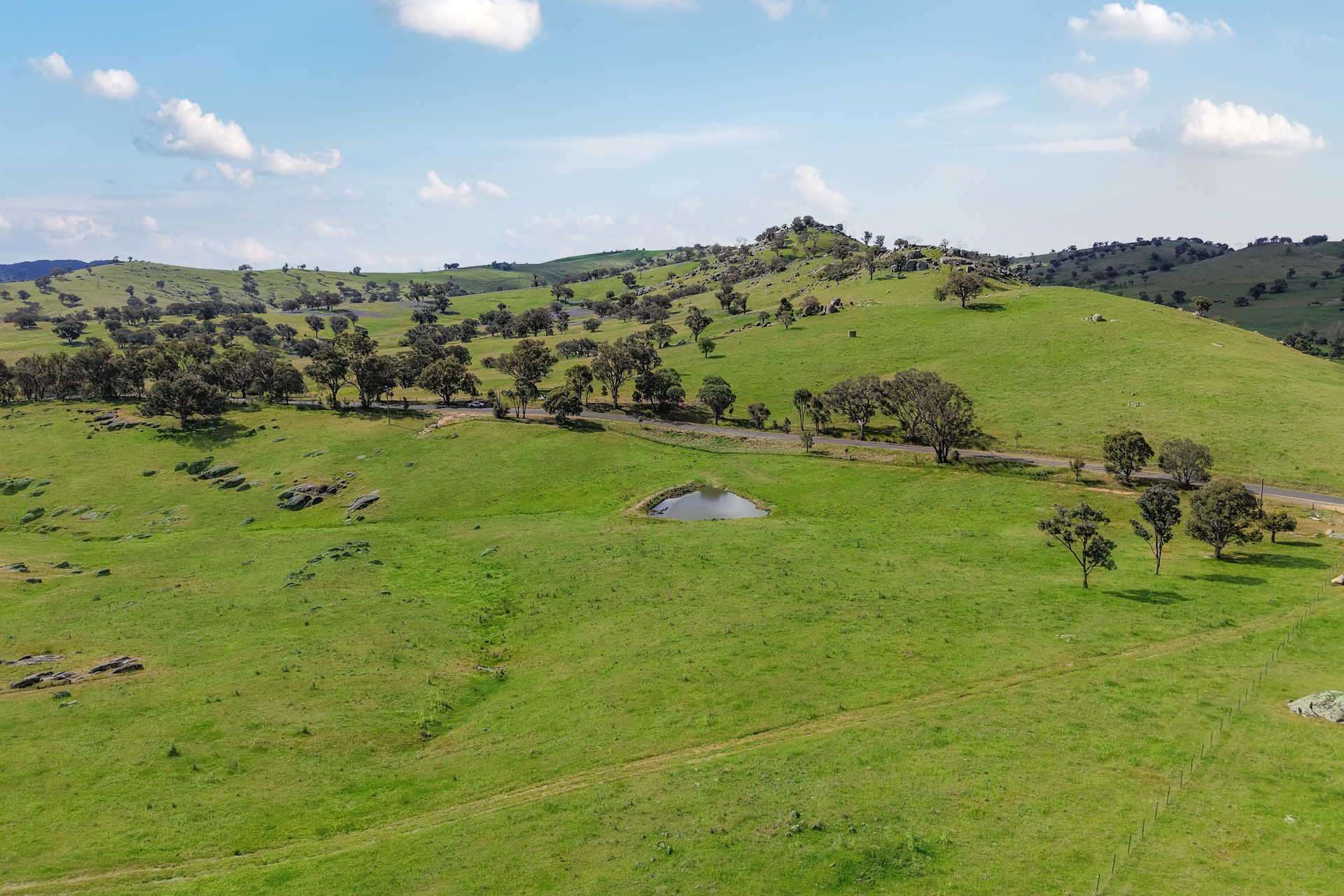 Lot 2,  Mount Mcdonald Road, Wyangala For Sale by Farmbuy.com - image 4