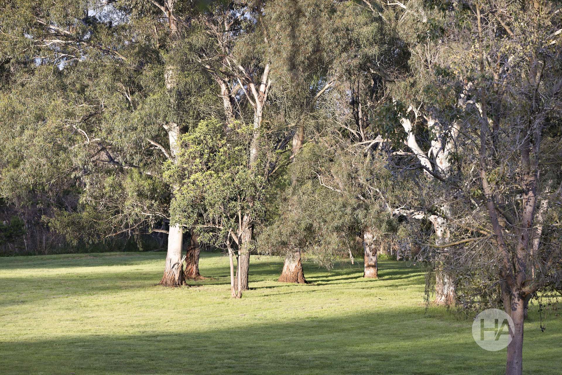 69 Merricks Road, Merricks North For Sale by Farmbuy.com - image 24