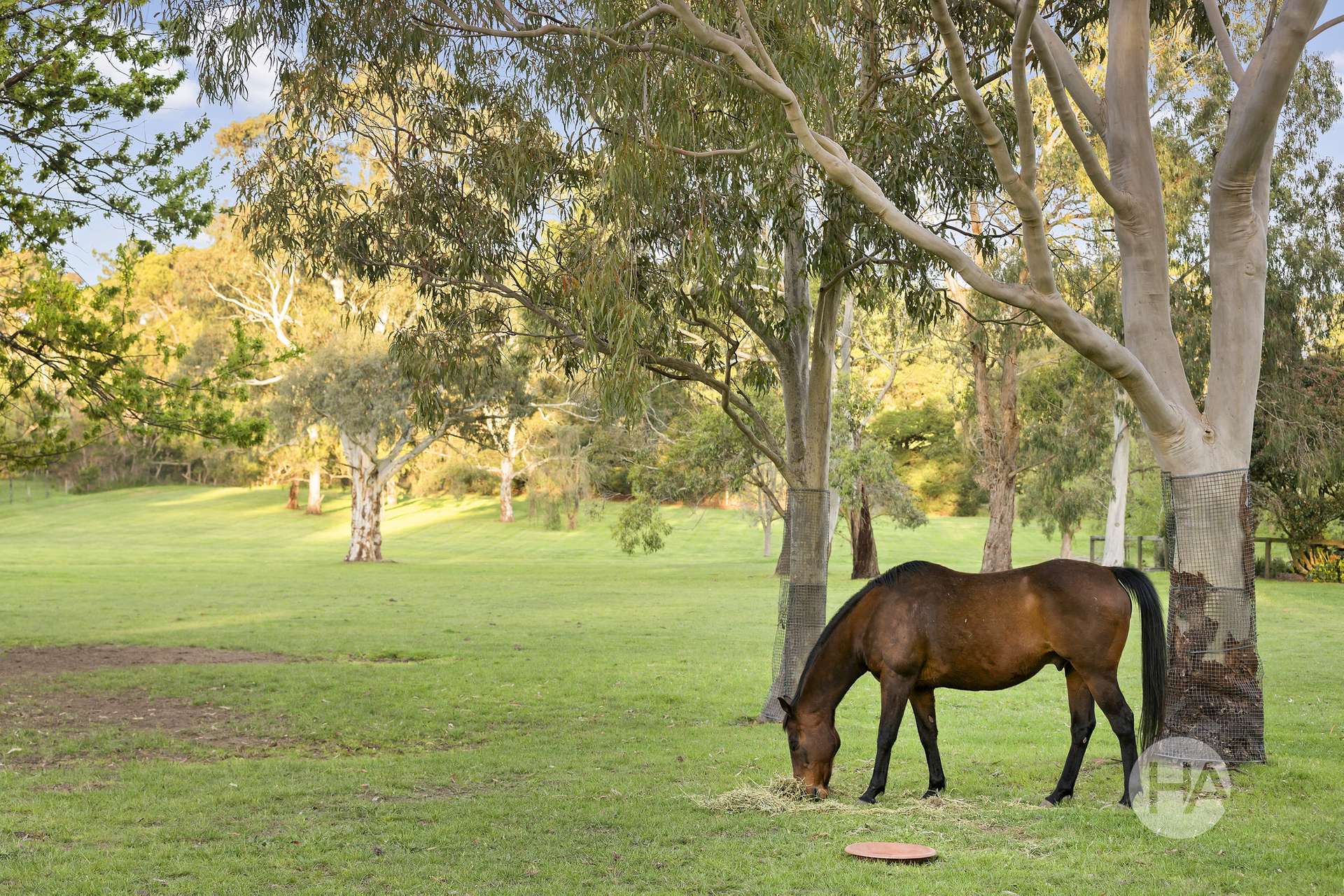 69 Merricks Road, Merricks North For Sale by Farmbuy.com - image 21