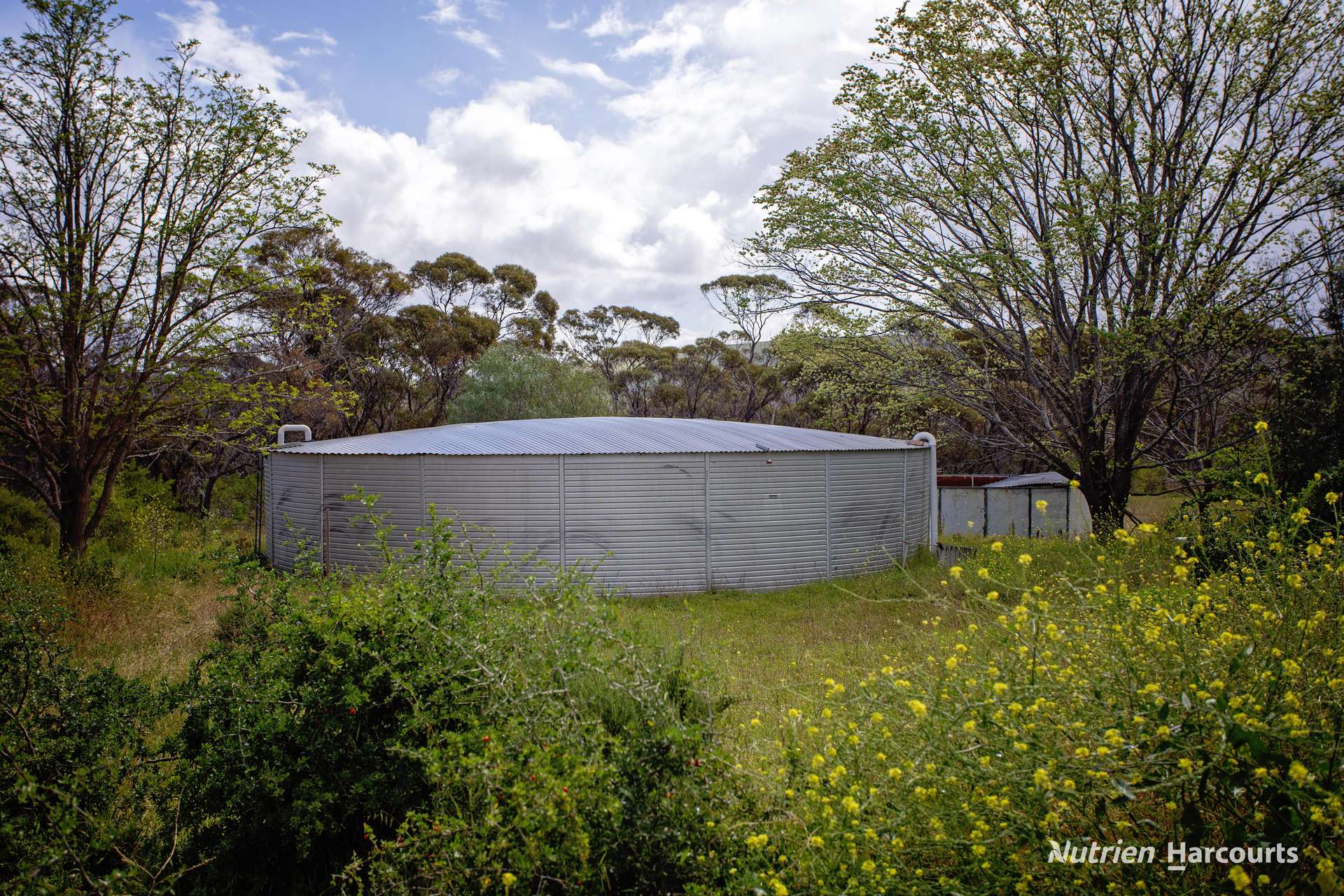 97 Carlisle Street, Ravensthorpe For Sale by Farmbuy.com - image 27