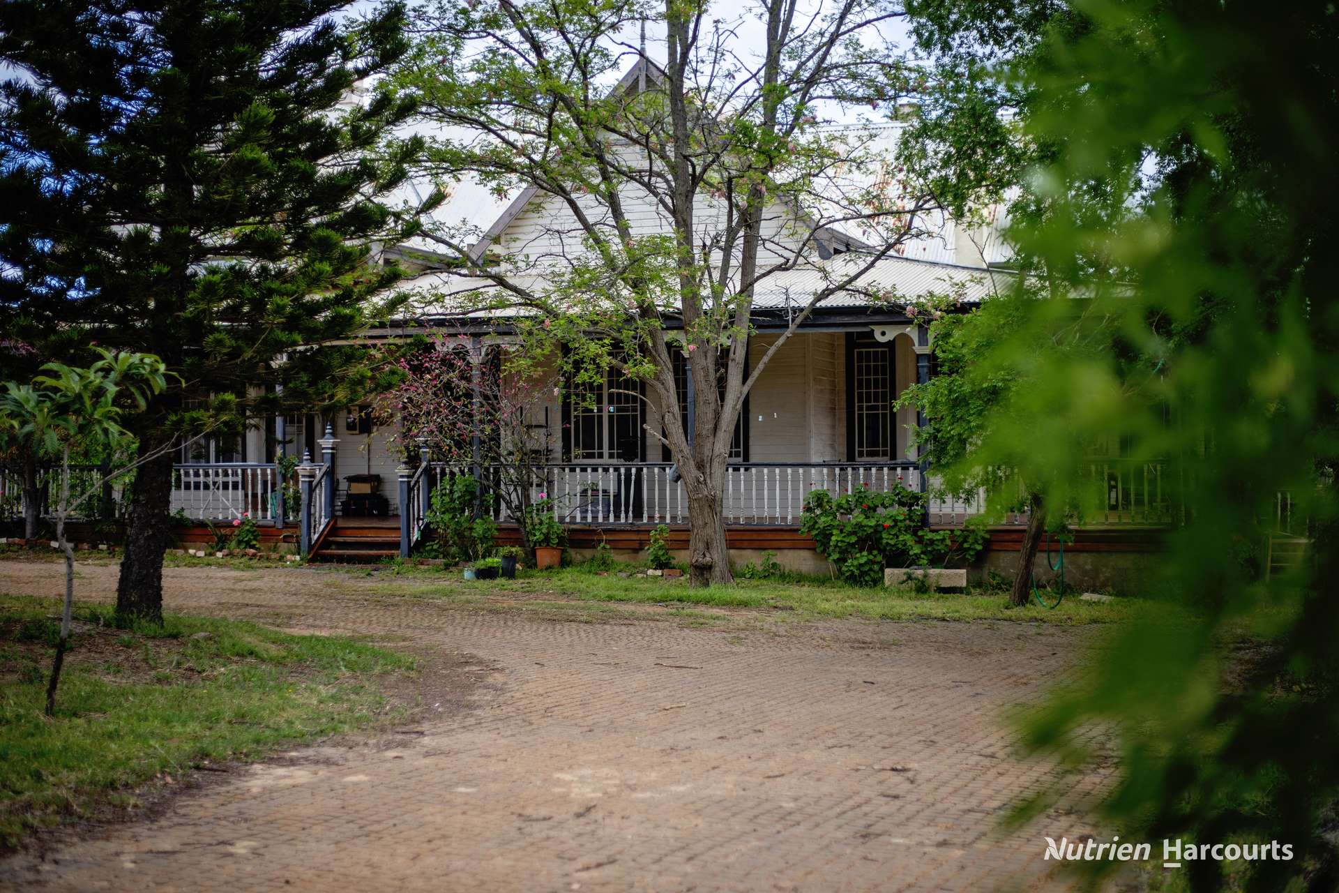 97 Carlisle Street, Ravensthorpe For Sale by Farmbuy.com - image 3
