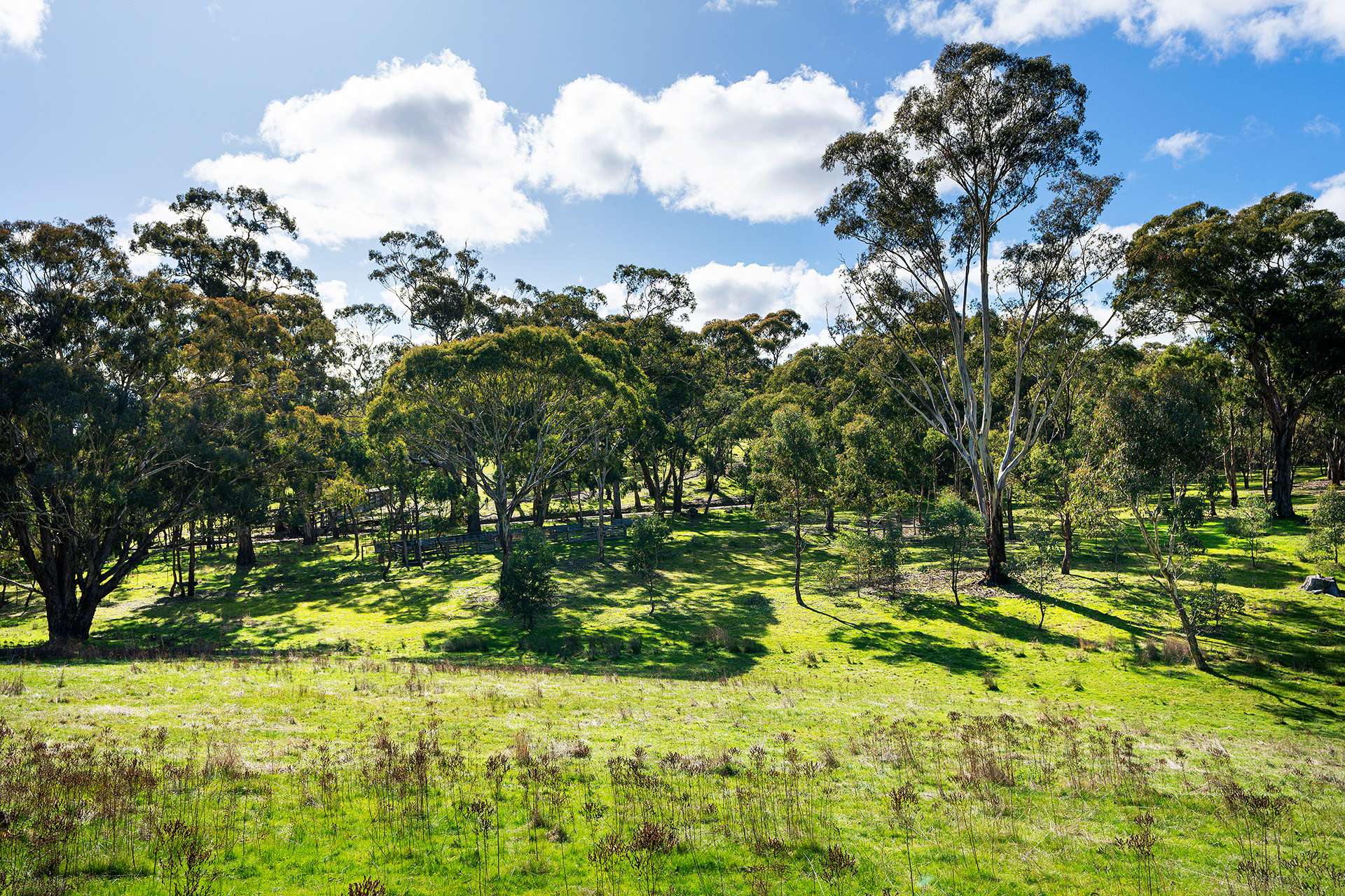 320 Boundary Gully Road, Werona For Sale by Farmbuy.com - image 14