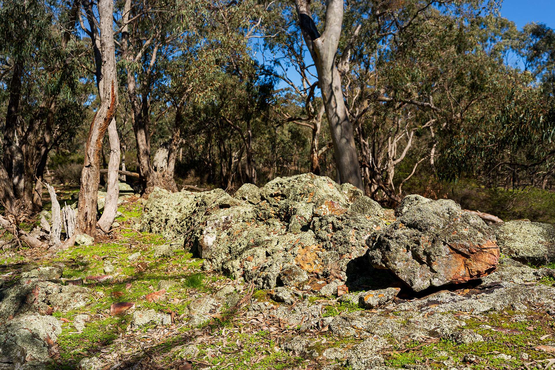 320 Boundary Gully Road, Werona For Sale by Farmbuy.com - image 33