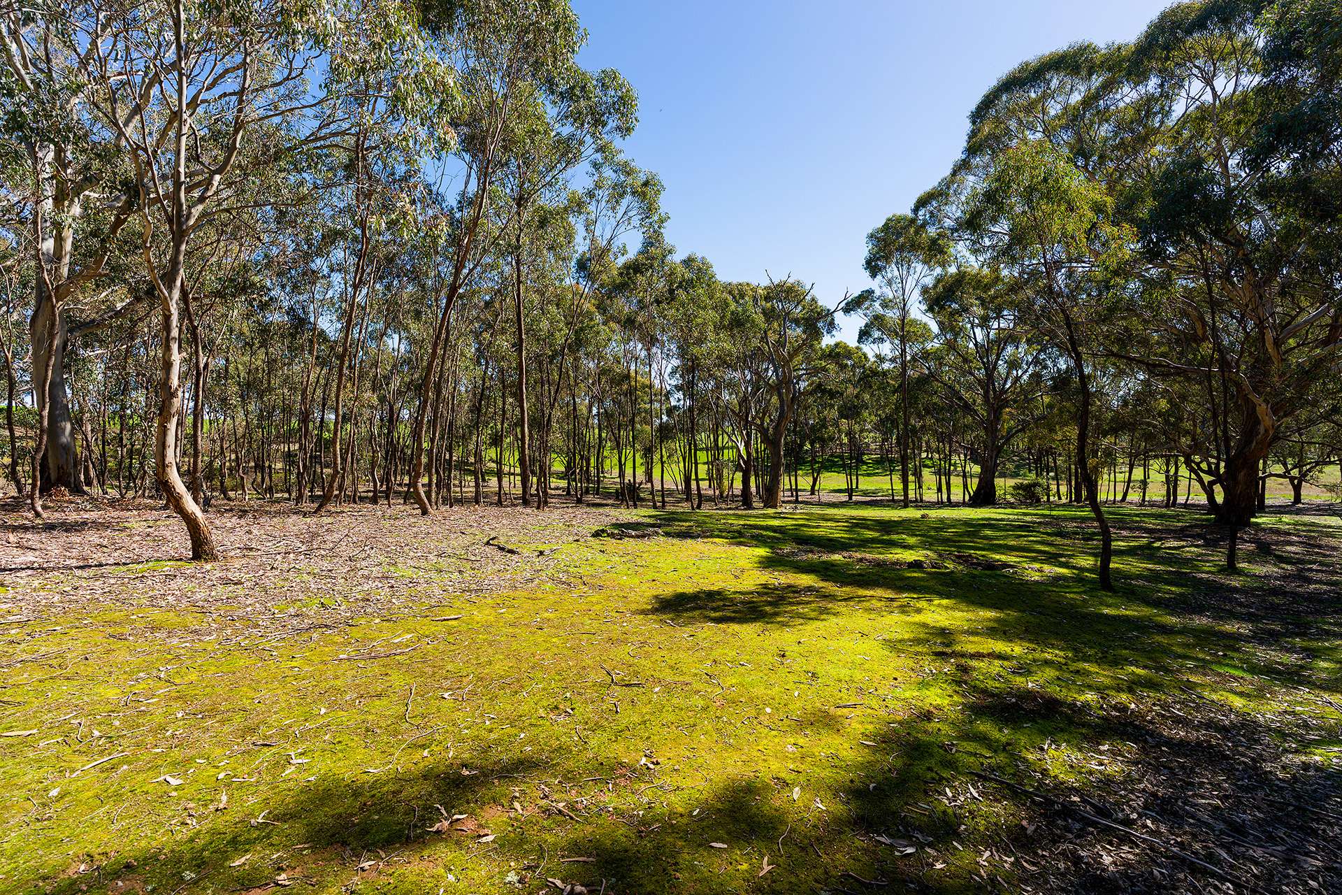 320 Boundary Gully Road, Werona For Sale by Farmbuy.com - image 34